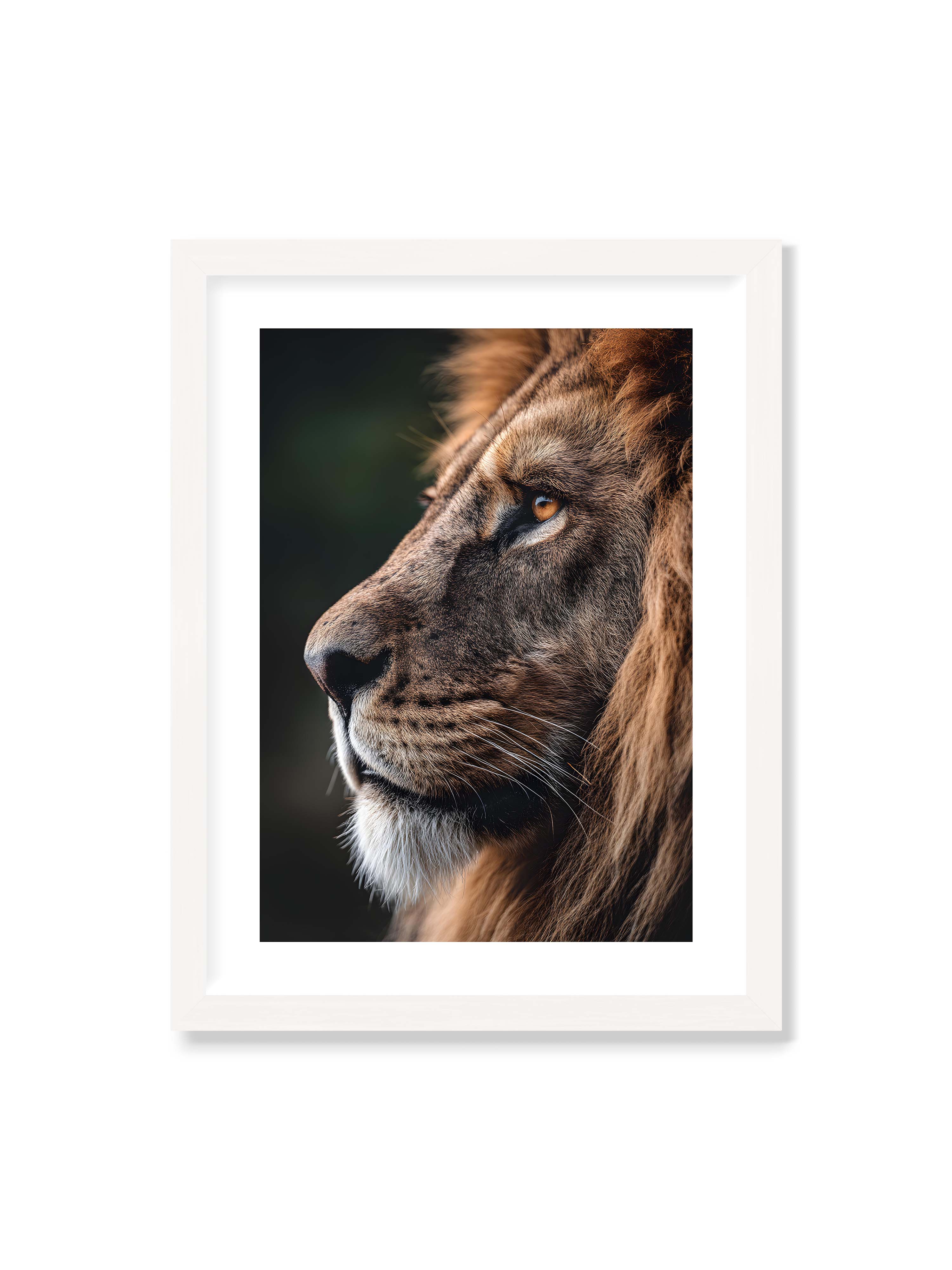 30x40 cm mit weißem Galerie-Rand mit weißem Rahmen – Profil eines Löwen mit dichter Mähne und ruhigem Blick vor dunklem Hintergrund, warmes Licht betont Fell und Gesichtszüge.