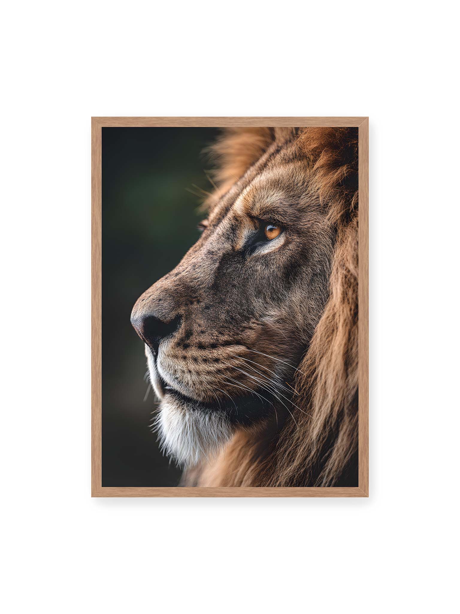 50x70 cm, Eichenrahmen – Profil eines Löwen mit dichter Mähne und ruhigem Blick vor dunklem Hintergrund, warmes Licht betont Fell und Gesichtszüge.