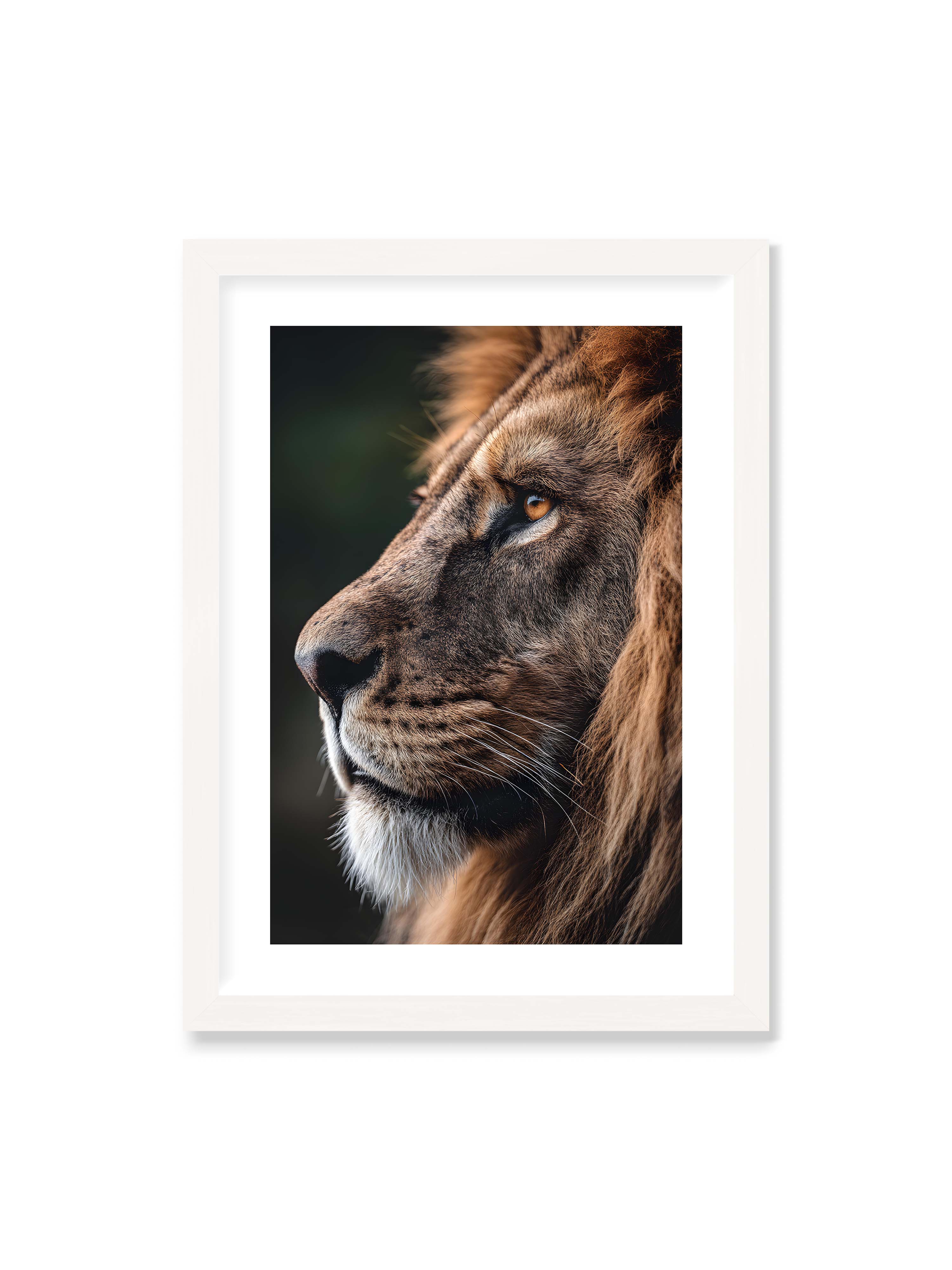 50x70 cm mit weißem Galerie-Rand mit weißem Rahmen – Profil eines Löwen mit dichter Mähne und ruhigem Blick vor dunklem Hintergrund, warmes Licht betont Fell und Gesichtszüge.