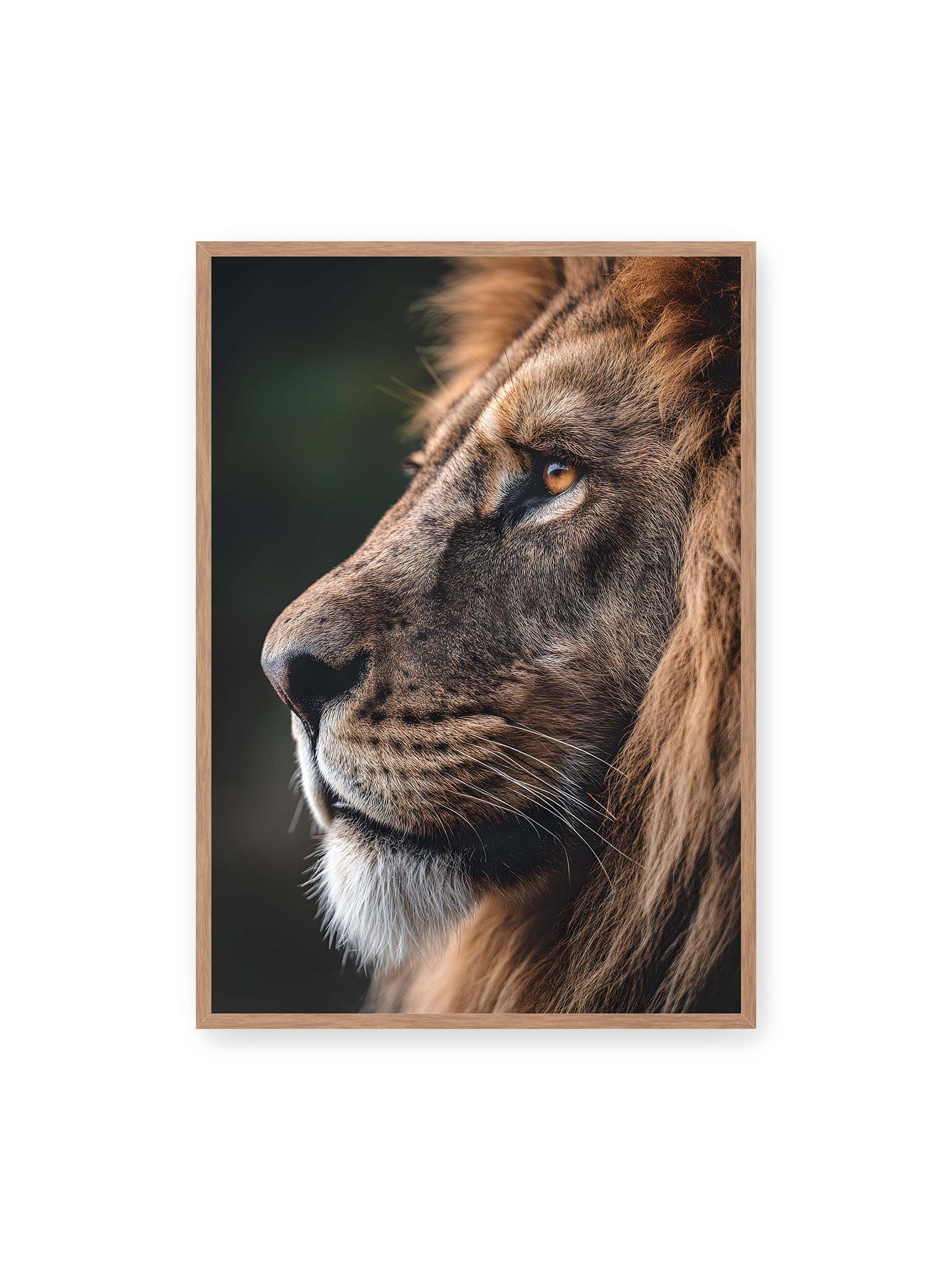 70x100 cm, Eichenrahmen – Profil eines Löwen mit dichter Mähne und ruhigem Blick vor dunklem Hintergrund, warmes Licht betont Fell und Gesichtszüge.