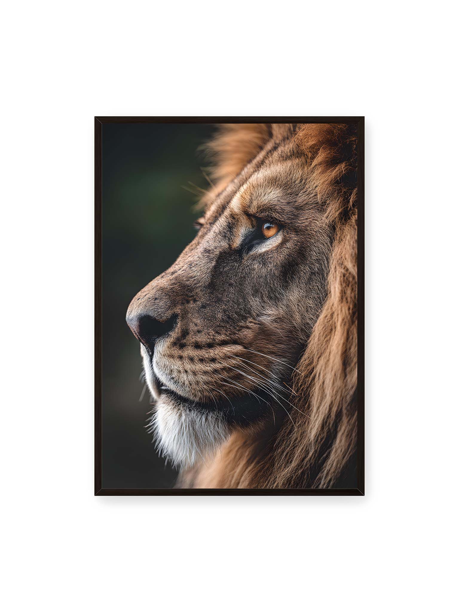 70x100 cm, schwarzer Rahmen – Profil eines Löwen mit dichter Mähne und ruhigem Blick vor dunklem Hintergrund, warmes Licht betont Fell und Gesichtszüge.