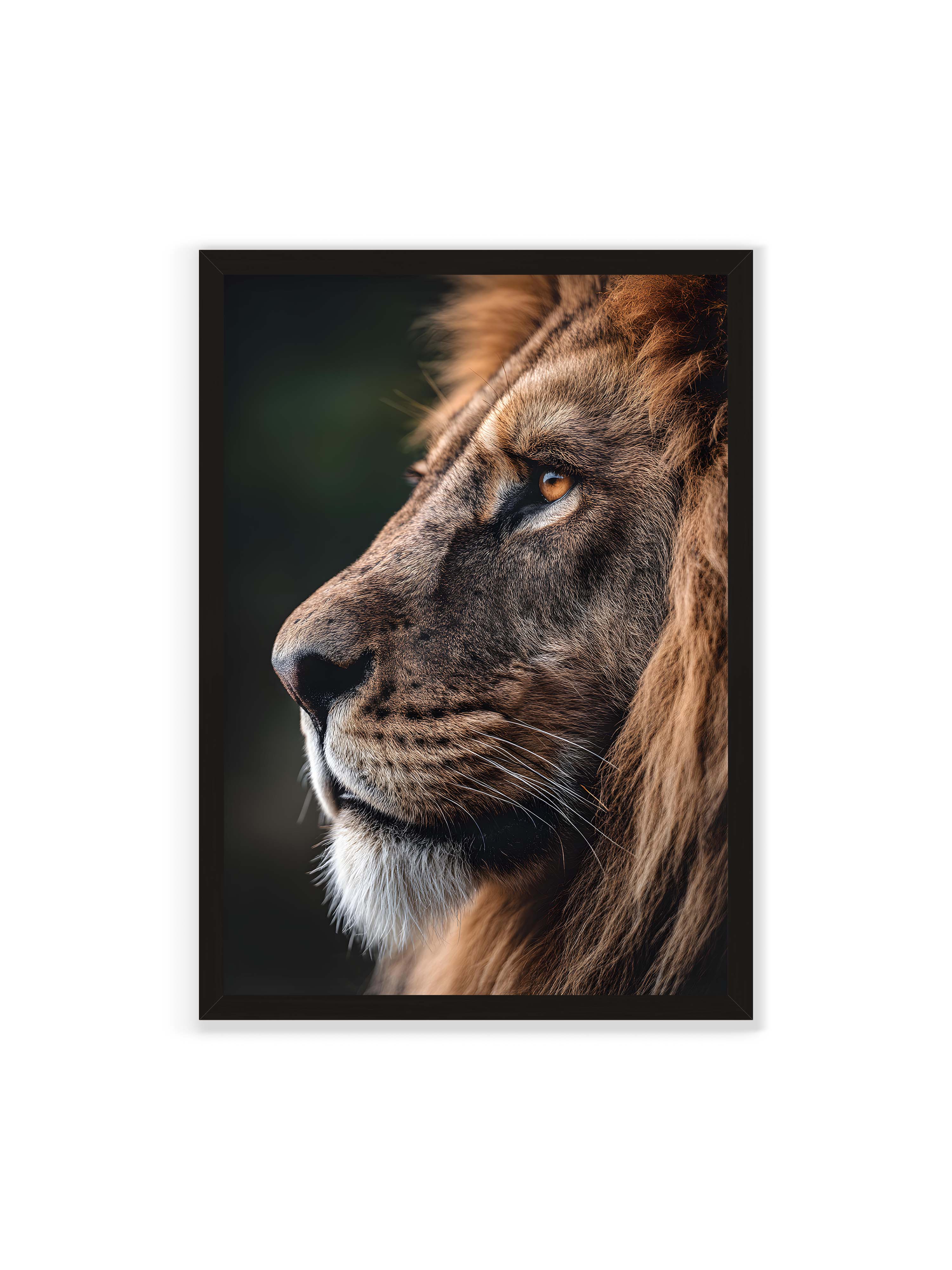 70x100 cm ohne Galerie-Rand mit schwarzem Rahmen – Profil eines Löwen mit dichter Mähne und ruhigem Blick vor dunklem Hintergrund, warmes Licht betont Fell und Gesichtszüge.