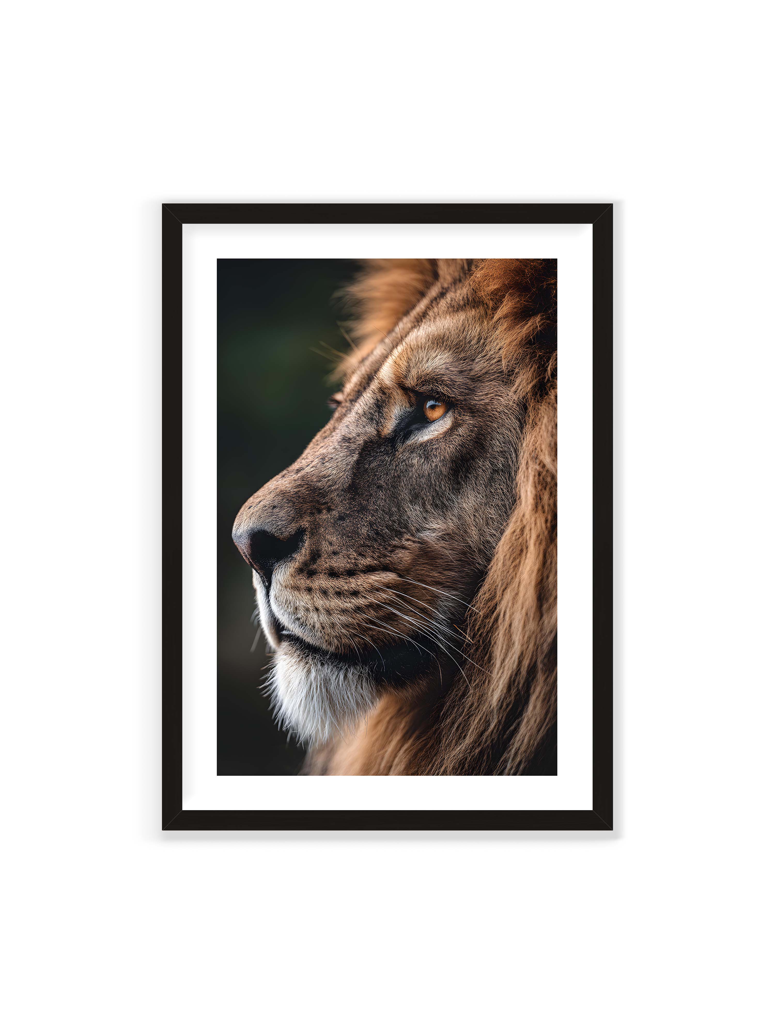 70x100 cm mit weißem Galerie-Rand mit schwarzem Rahmen – Profil eines Löwen mit dichter Mähne und ruhigem Blick vor dunklem Hintergrund, warmes Licht betont Fell und Gesichtszüge.