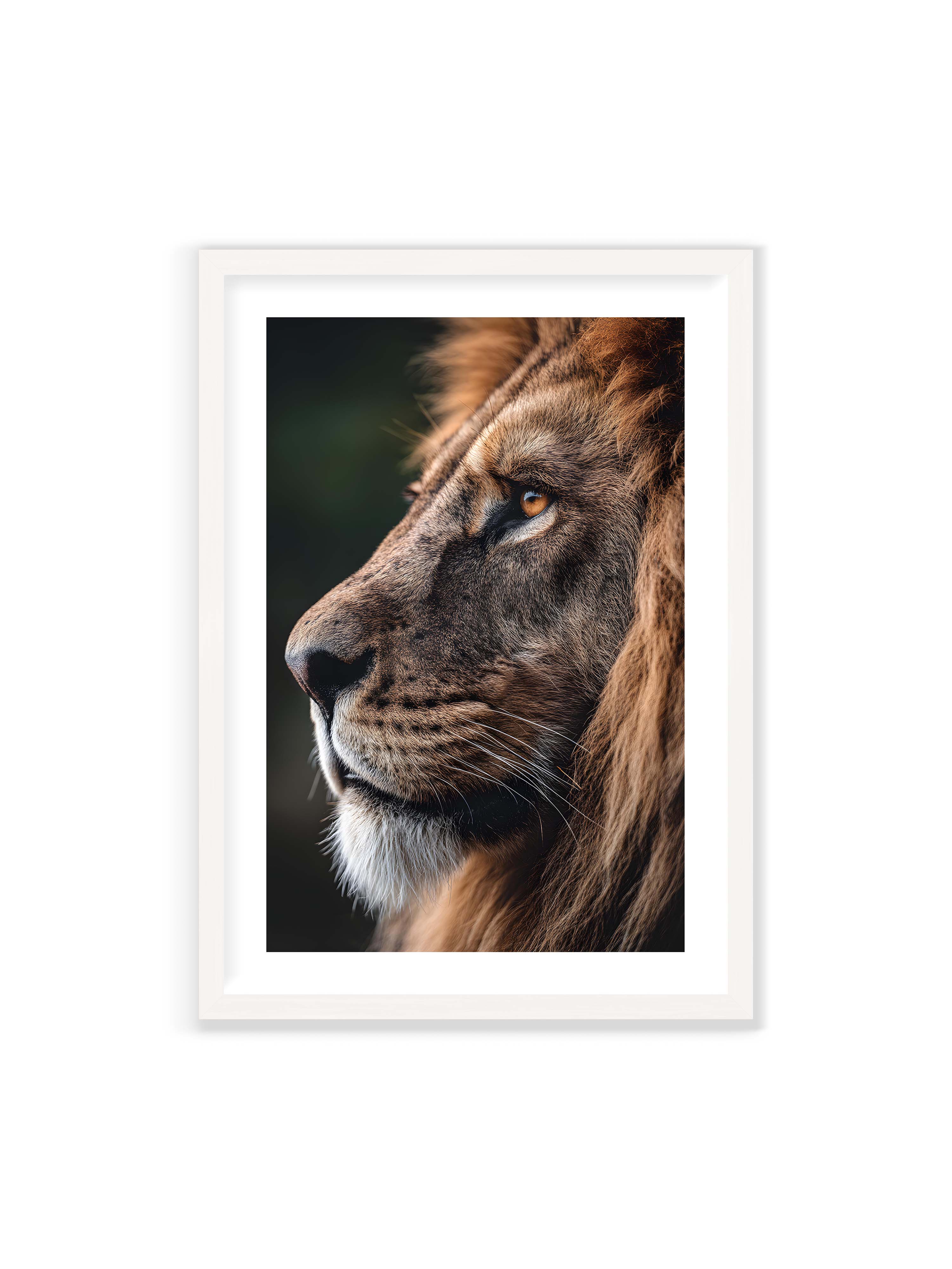 70x100 cm mit weißem Galerie-Rand mit weißem Rahmen – Profil eines Löwen mit dichter Mähne und ruhigem Blick vor dunklem Hintergrund, warmes Licht betont Fell und Gesichtszüge.