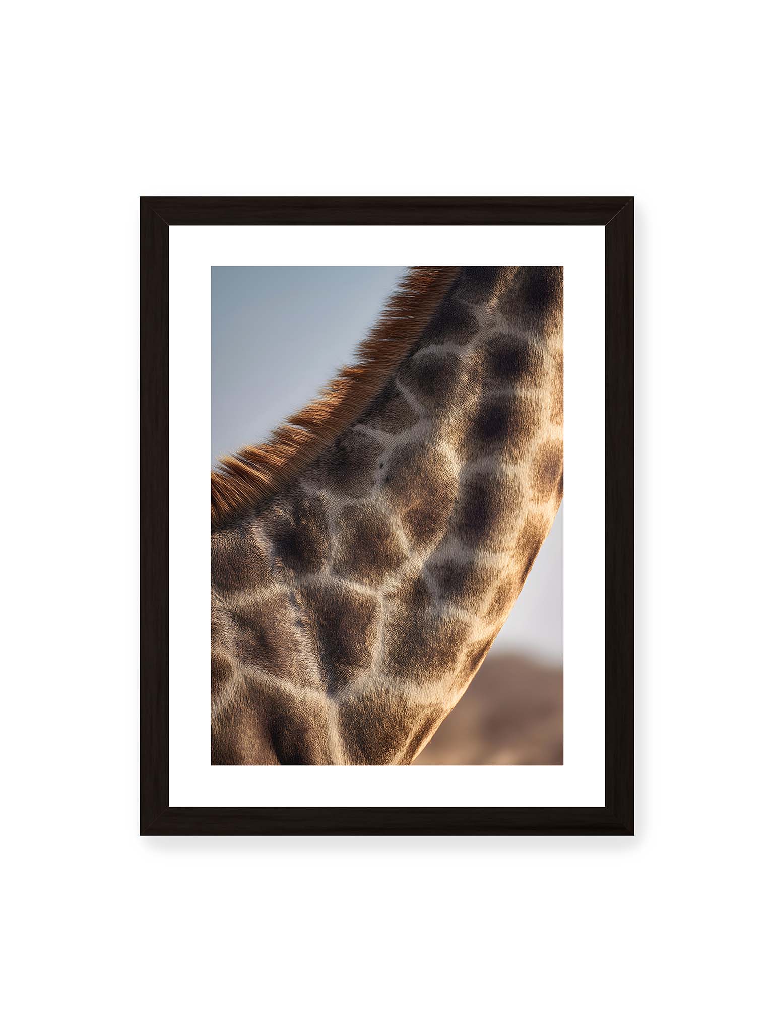 30x40 cm, weißer Galerie-Rand, schwarzer Rahmen – Nahaufnahme eines Giraffenfells mit charakteristischem Muster in warmen Brauntönen und natürlicher Textur.