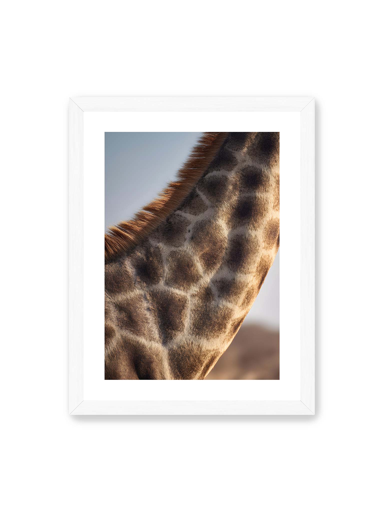 30x40 cm, weißer Galerie-Rand, weißer Rahmen – Nahaufnahme eines Giraffenfells mit charakteristischem Muster in warmen Brauntönen und natürlicher Textur.