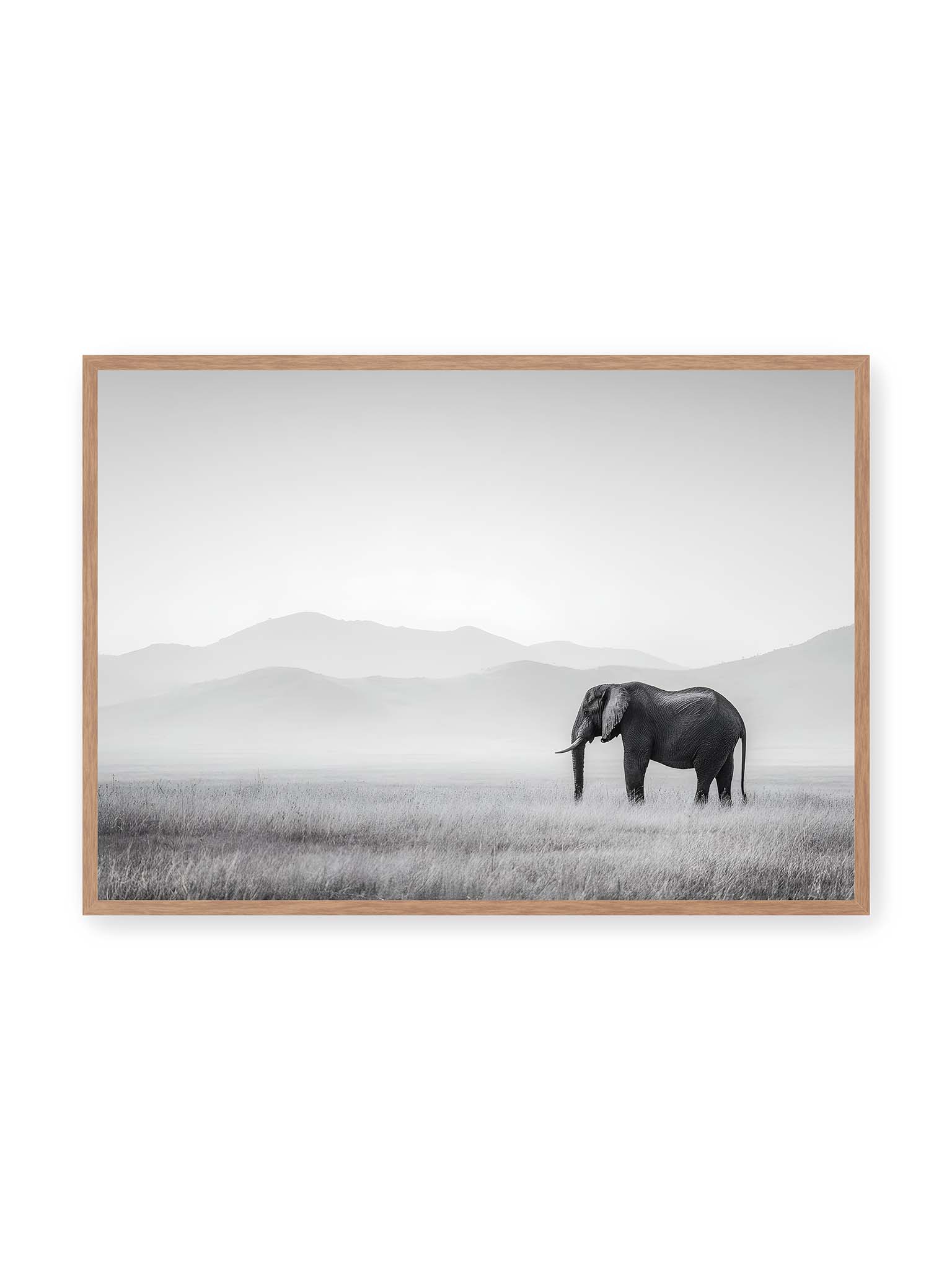 70x100 cm, Eichenrahmen – Elefant steht in weiter, nebeliger Landschaft mit sanften Hügeln im Hintergrund in monochromer Darstellung.