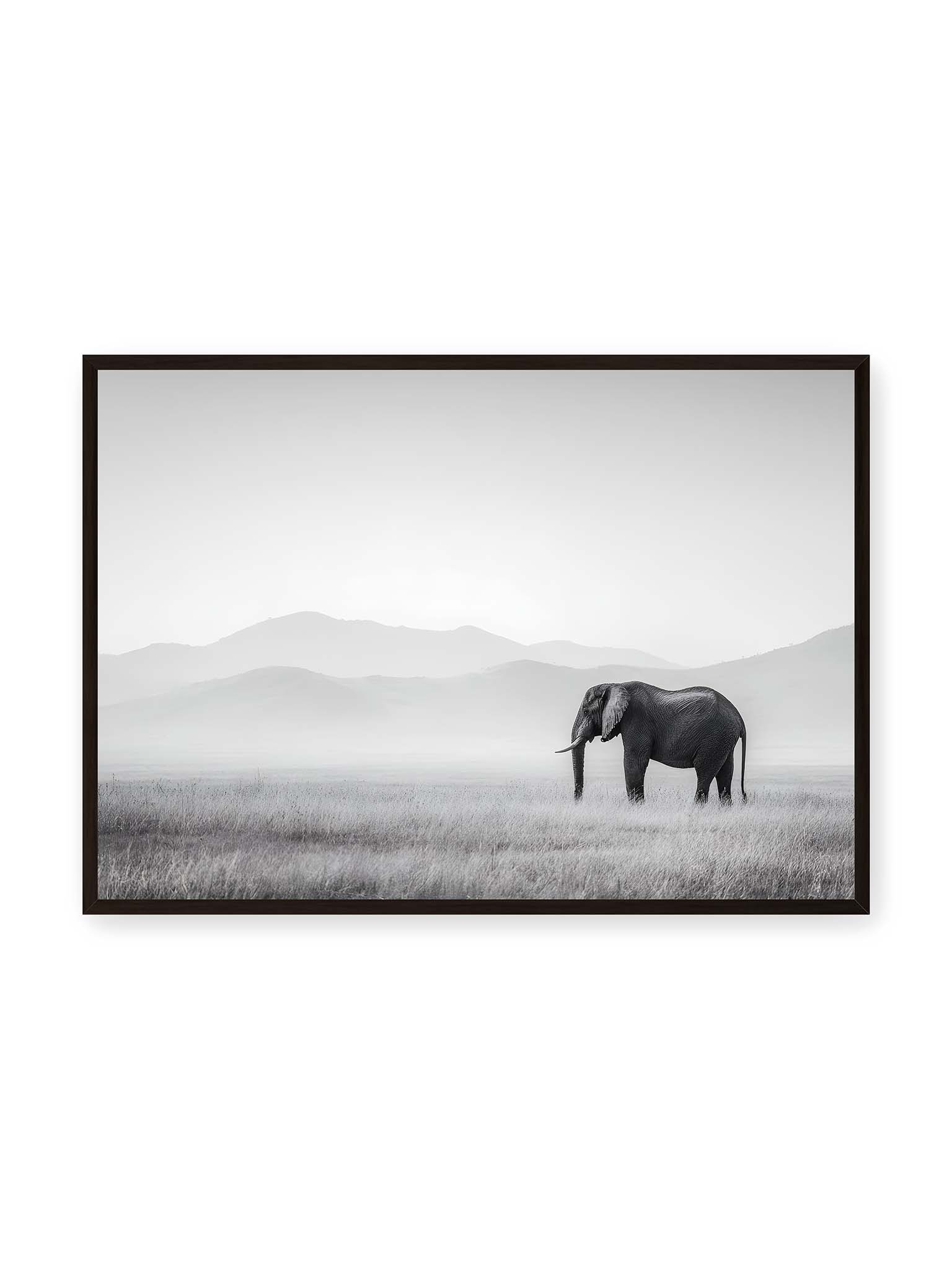 70x100 cm, schwarzer Rahmen – Elefant steht in weiter, nebeliger Landschaft mit sanften Hügeln im Hintergrund in monochromer Darstellung.