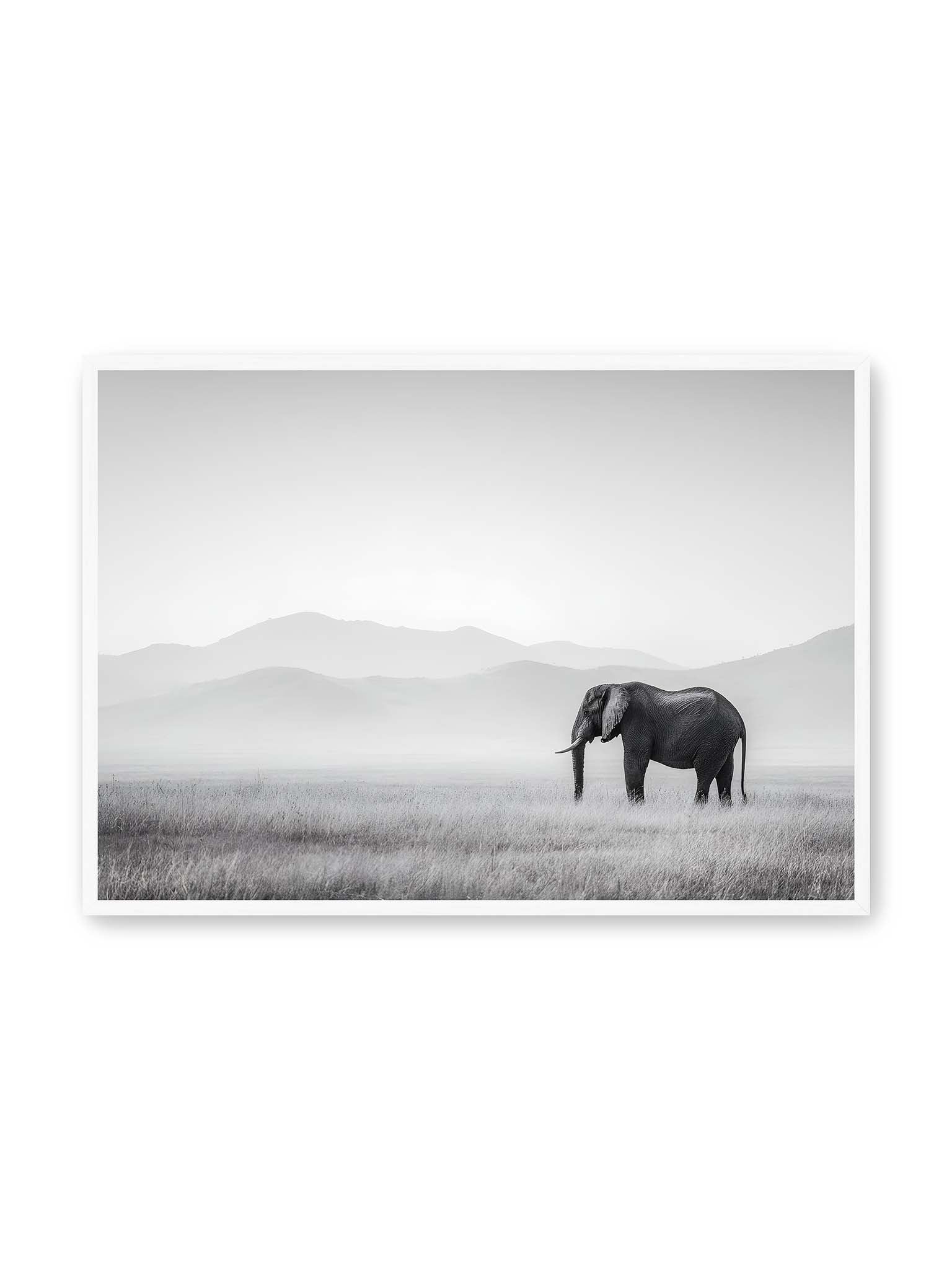 70x100 cm, weißer Rahmen – Elefant steht in weiter, nebeliger Landschaft mit sanften Hügeln im Hintergrund in monochromer Darstellung.