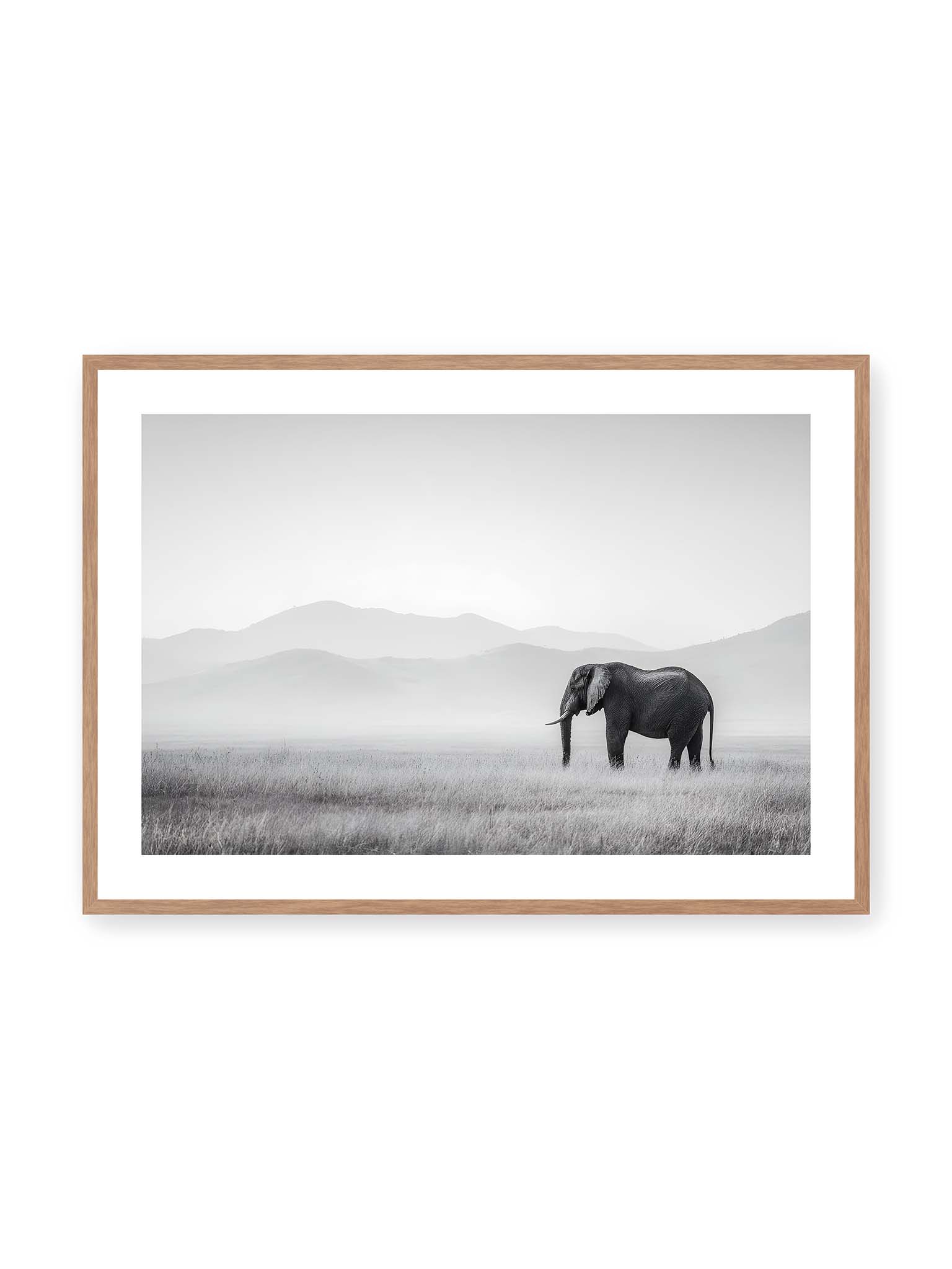 70x100 cm, weißer Galerie-Rand, Eichenrahmen – Elefant steht in weiter, nebeliger Landschaft mit sanften Hügeln im Hintergrund in monochromer Darstellung.