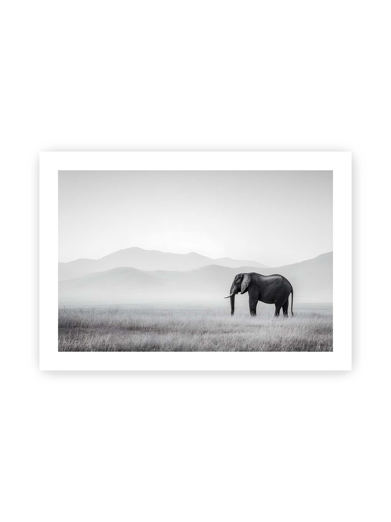 70x100 cm, weißer Galerie-Rand – Elefant steht in weiter, nebeliger Landschaft mit sanften Hügeln im Hintergrund in monochromer Darstellung.