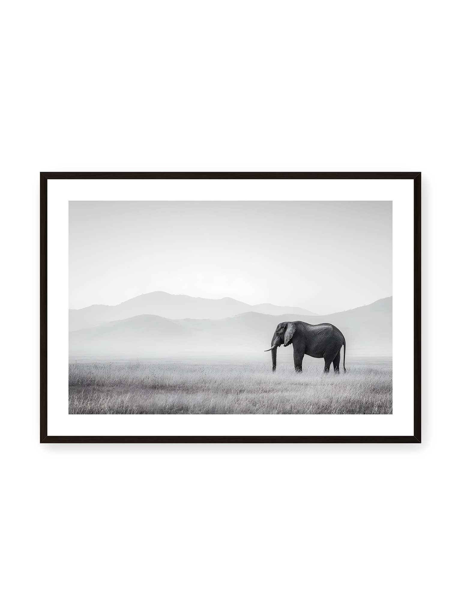70x100 cm, weißer Galerie-Rand, schwarzer Rahmen – Elefant steht in weiter, nebeliger Landschaft mit sanften Hügeln im Hintergrund in monochromer Darstellung.