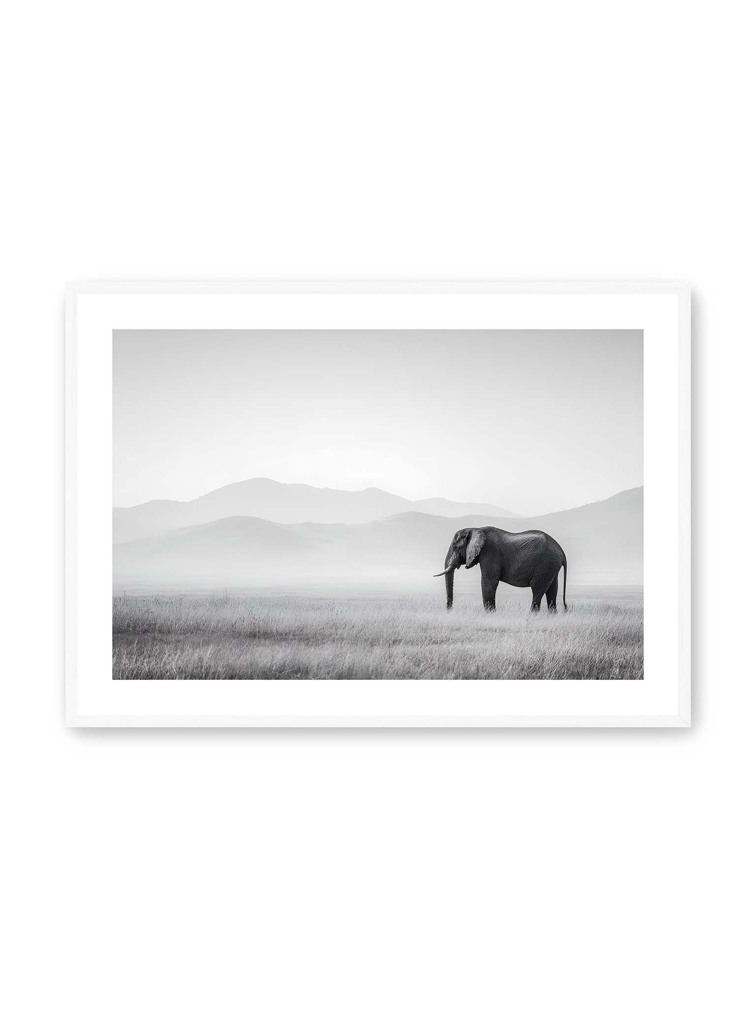 70x100 cm, weißer Galerie-Rand, weißer Rahmen – Elefant steht in weiter, nebeliger Landschaft mit sanften Hügeln im Hintergrund in monochromer Darstellung.