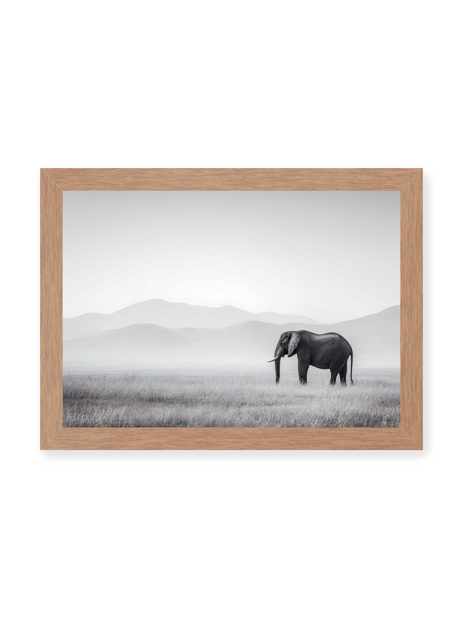 21x30 cm, Eichenrahmen – Elefant steht in weiter, nebeliger Landschaft mit sanften Hügeln im Hintergrund in monochromer Darstellung.