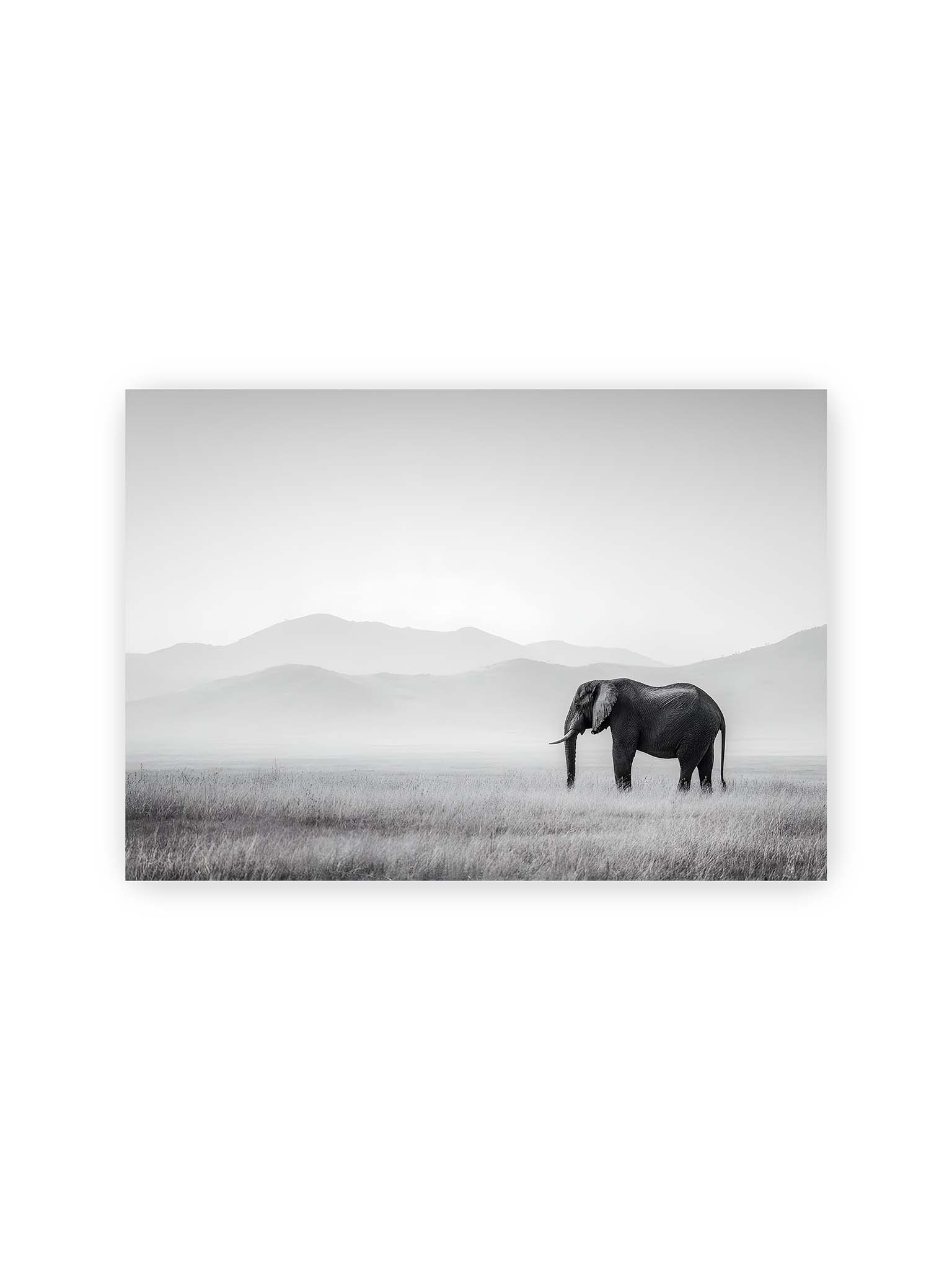 21x30 cm – Elefant steht in weiter, nebeliger Landschaft mit sanften Hügeln im Hintergrund in monochromer Darstellung.