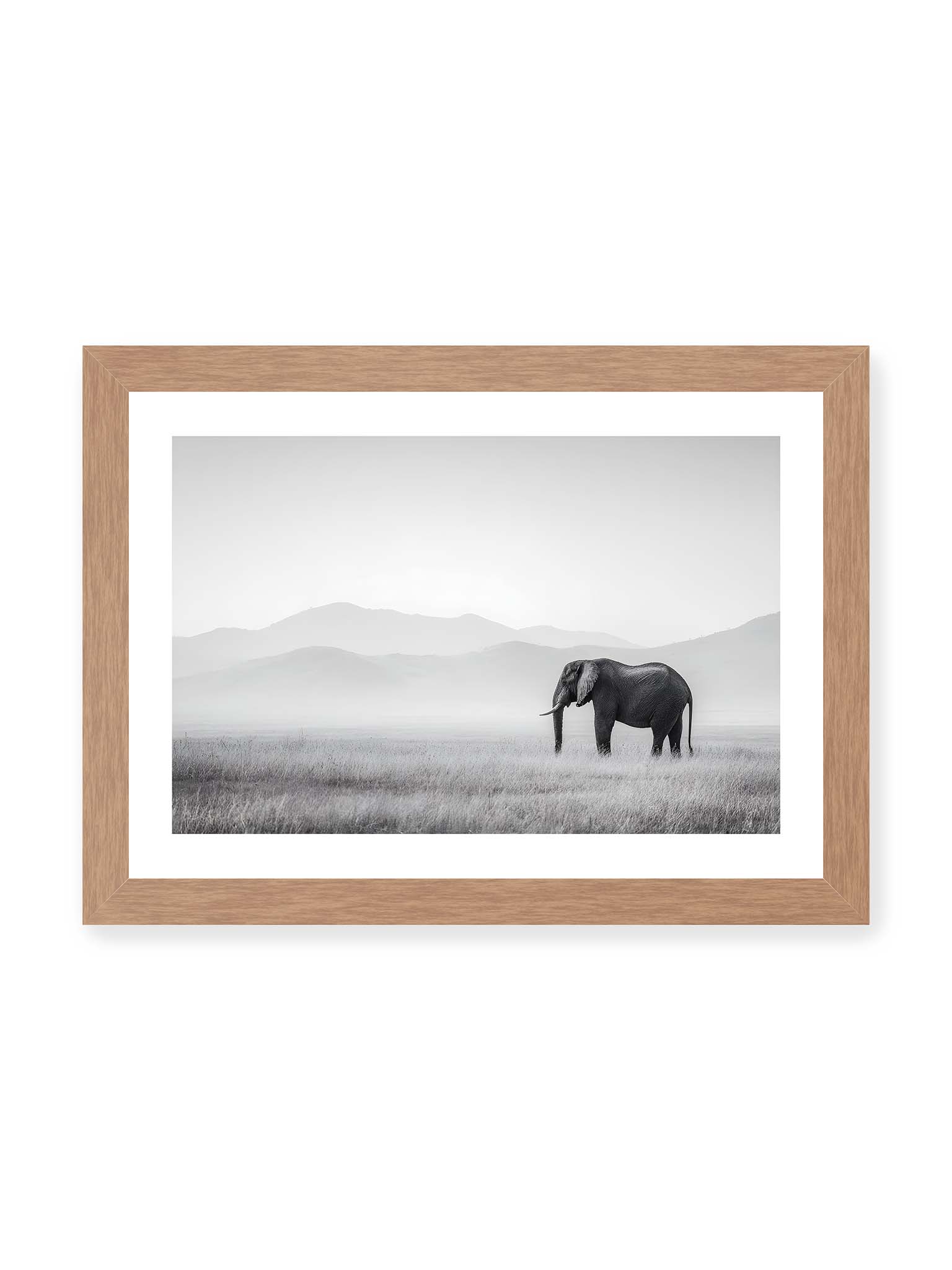 21x30 cm, weißer Galerie-Rand, Eichenrahmen – Elefant steht in weiter, nebeliger Landschaft mit sanften Hügeln im Hintergrund in monochromer Darstellung.