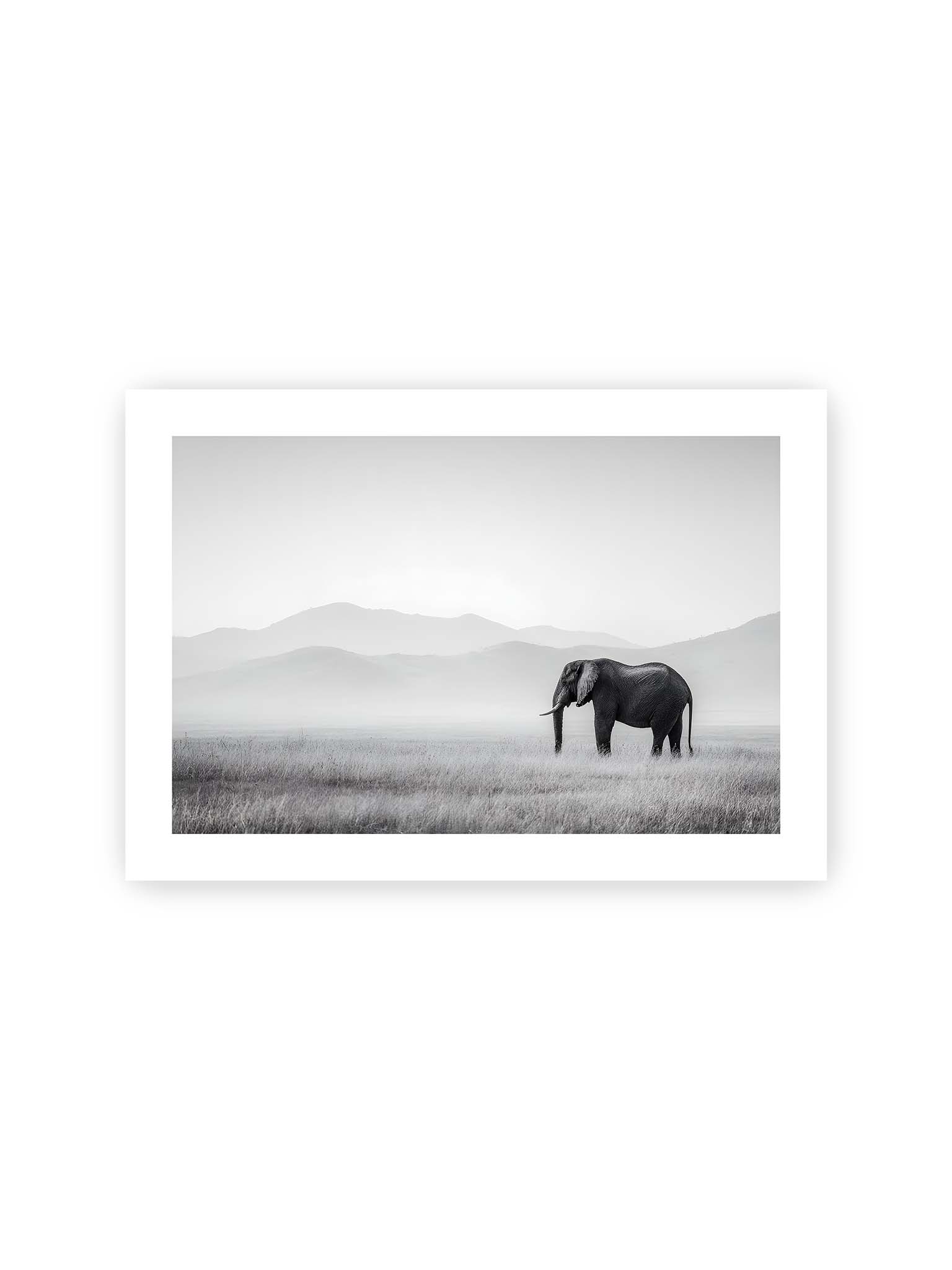 21x30 cm, weißer Galerie-Rand – Elefant steht in weiter, nebeliger Landschaft mit sanften Hügeln im Hintergrund in monochromer Darstellung.