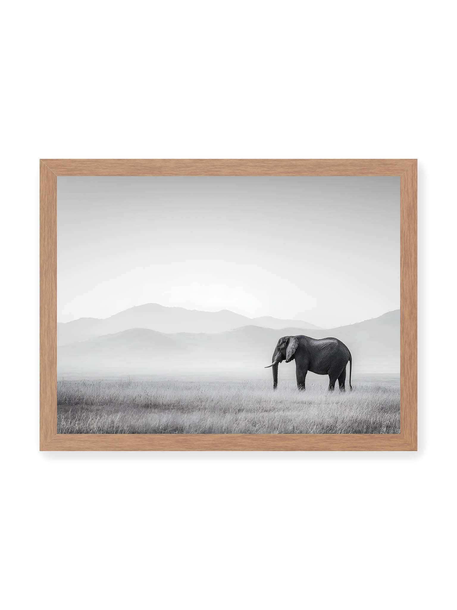 30x40 cm, Eichenrahmen – Elefant steht in weiter, nebeliger Landschaft mit sanften Hügeln im Hintergrund in monochromer Darstellung.