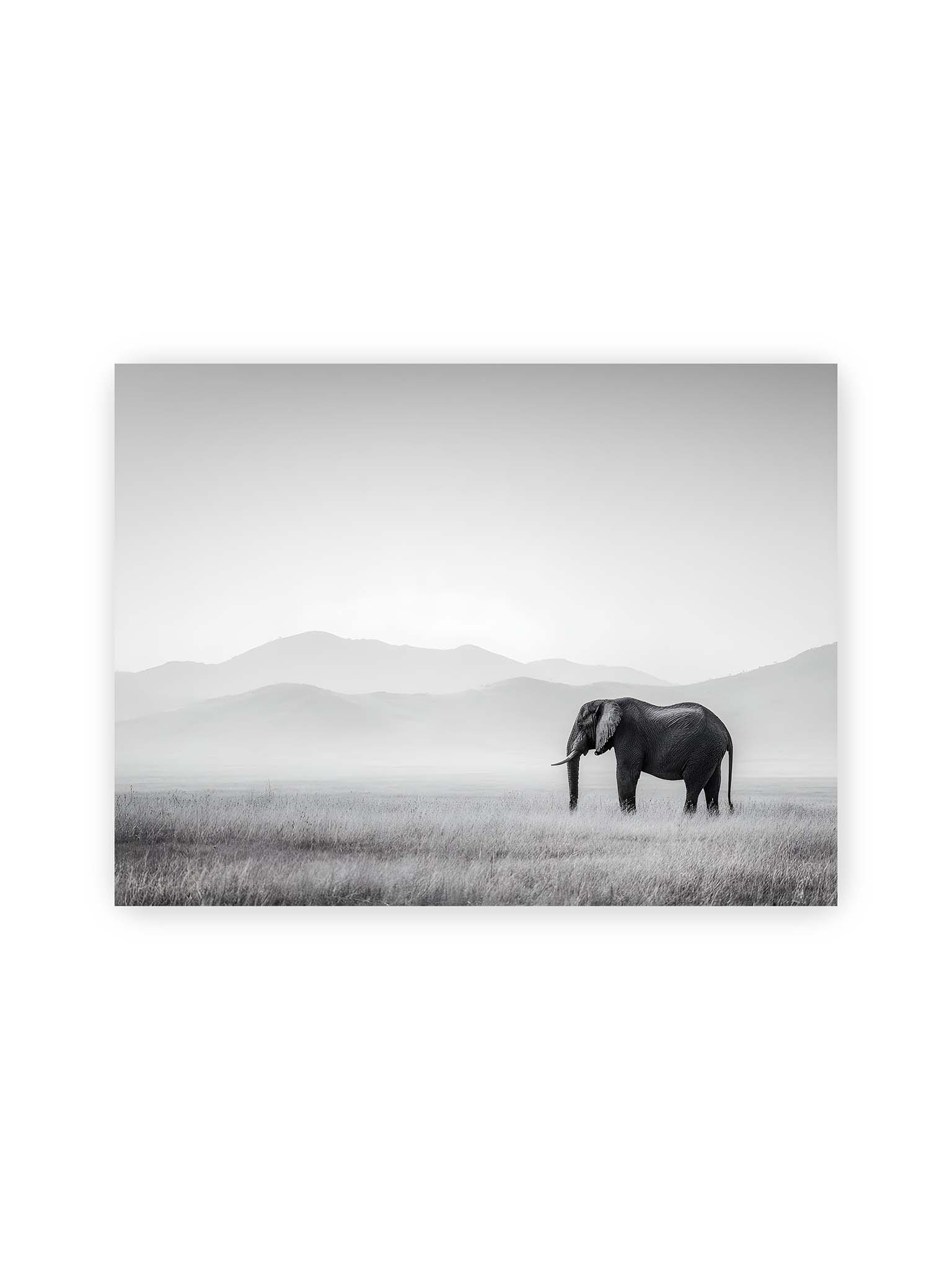 30x40 cm – Elefant steht in weiter, nebeliger Landschaft mit sanften Hügeln im Hintergrund in monochromer Darstellung.