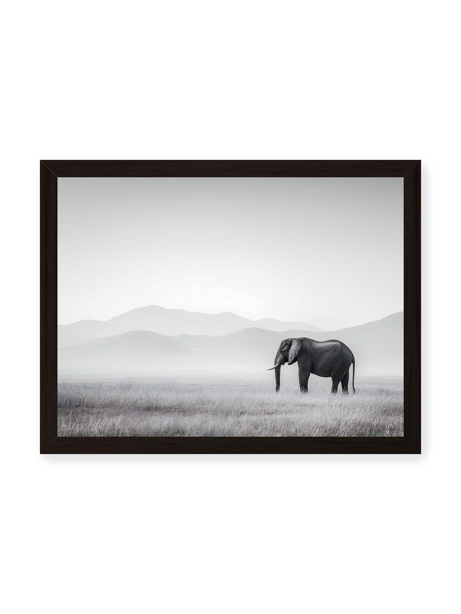30x40 cm, schwarzer Rahmen – Elefant steht in weiter, nebeliger Landschaft mit sanften Hügeln im Hintergrund in monochromer Darstellung.