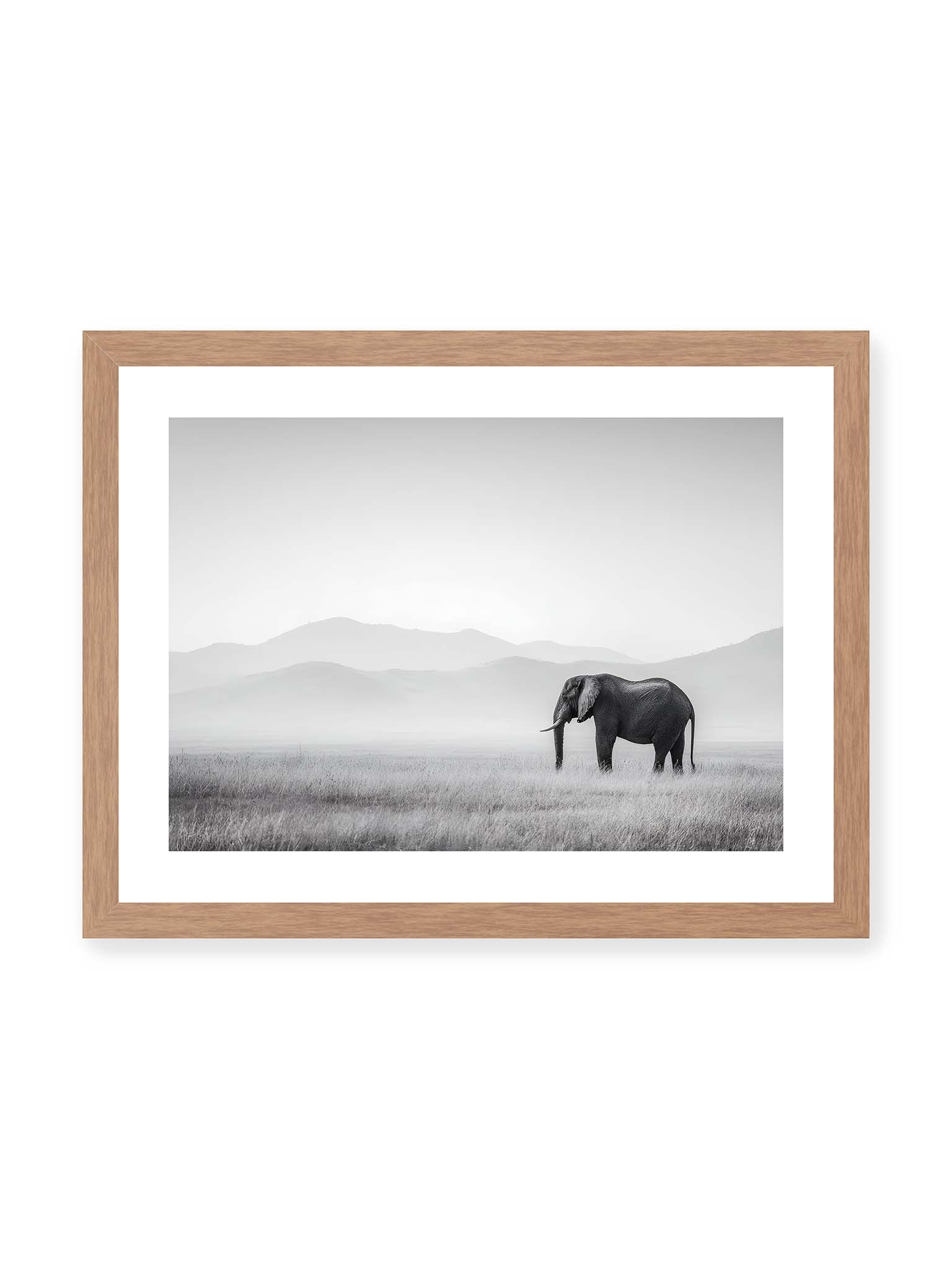 30x40 cm, weißer Galerie-Rand, Eichenrahmen – Elefant steht in weiter, nebeliger Landschaft mit sanften Hügeln im Hintergrund in monochromer Darstellung.