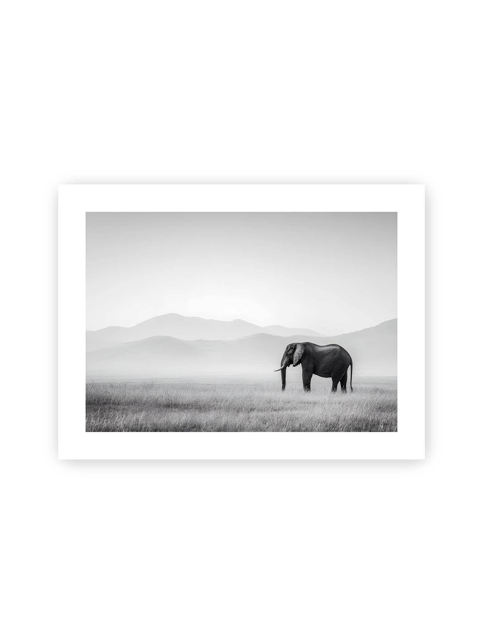 30x40 cm, weißer Galerie-Rand – Elefant steht in weiter, nebeliger Landschaft mit sanften Hügeln im Hintergrund in monochromer Darstellung.