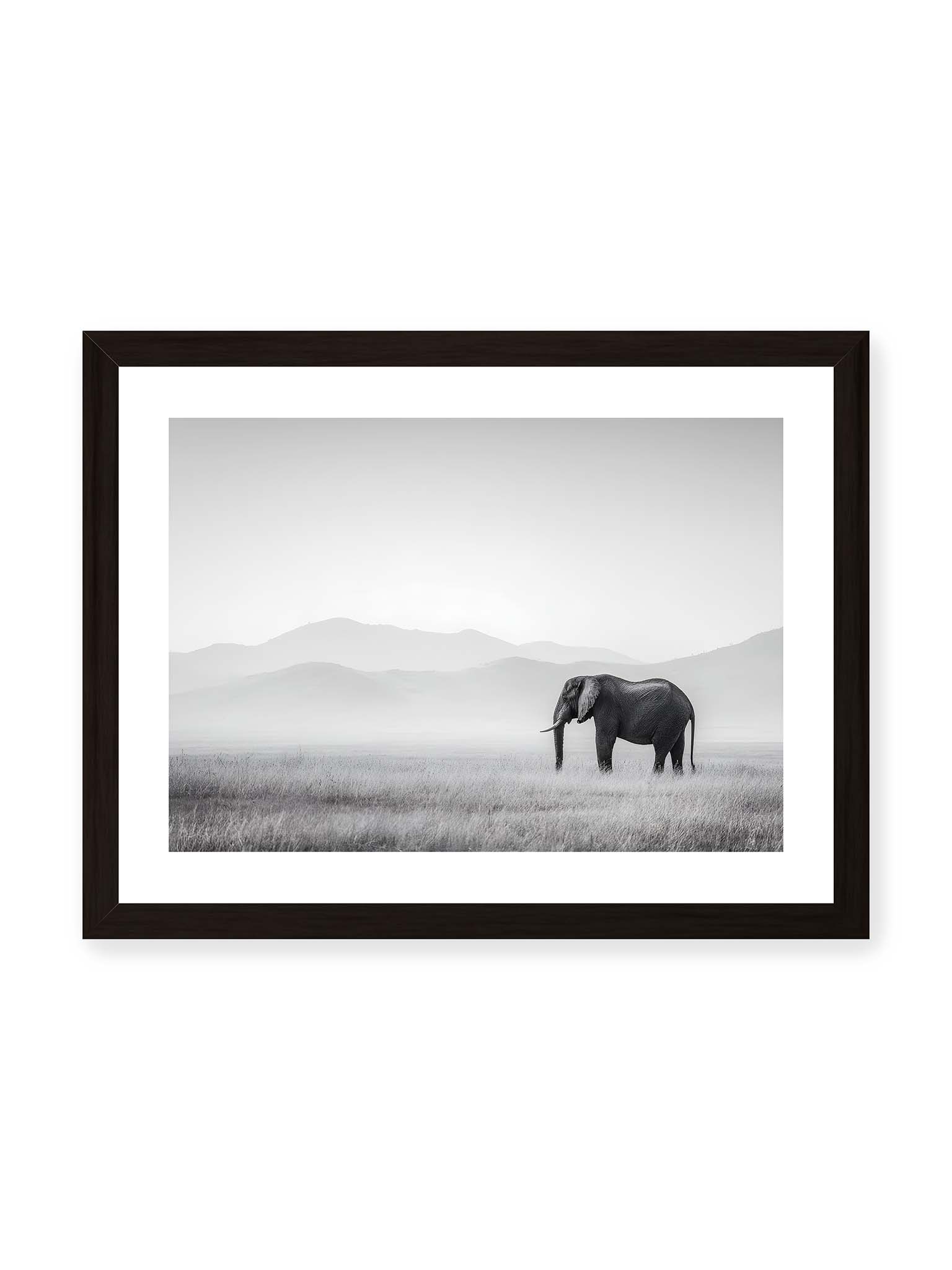 30x40 cm, weißer Galerie-Rand, schwarzer Rahmen – Elefant steht in weiter, nebeliger Landschaft mit sanften Hügeln im Hintergrund in monochromer Darstellung.