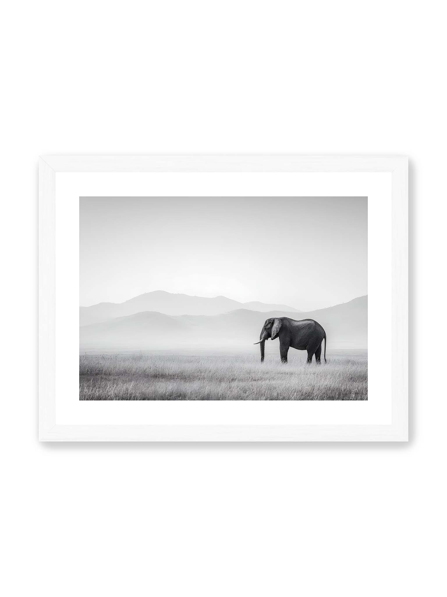 30x40 cm, weißer Galerie-Rand, weißer Rahmen – Elefant steht in weiter, nebeliger Landschaft mit sanften Hügeln im Hintergrund in monochromer Darstellung.