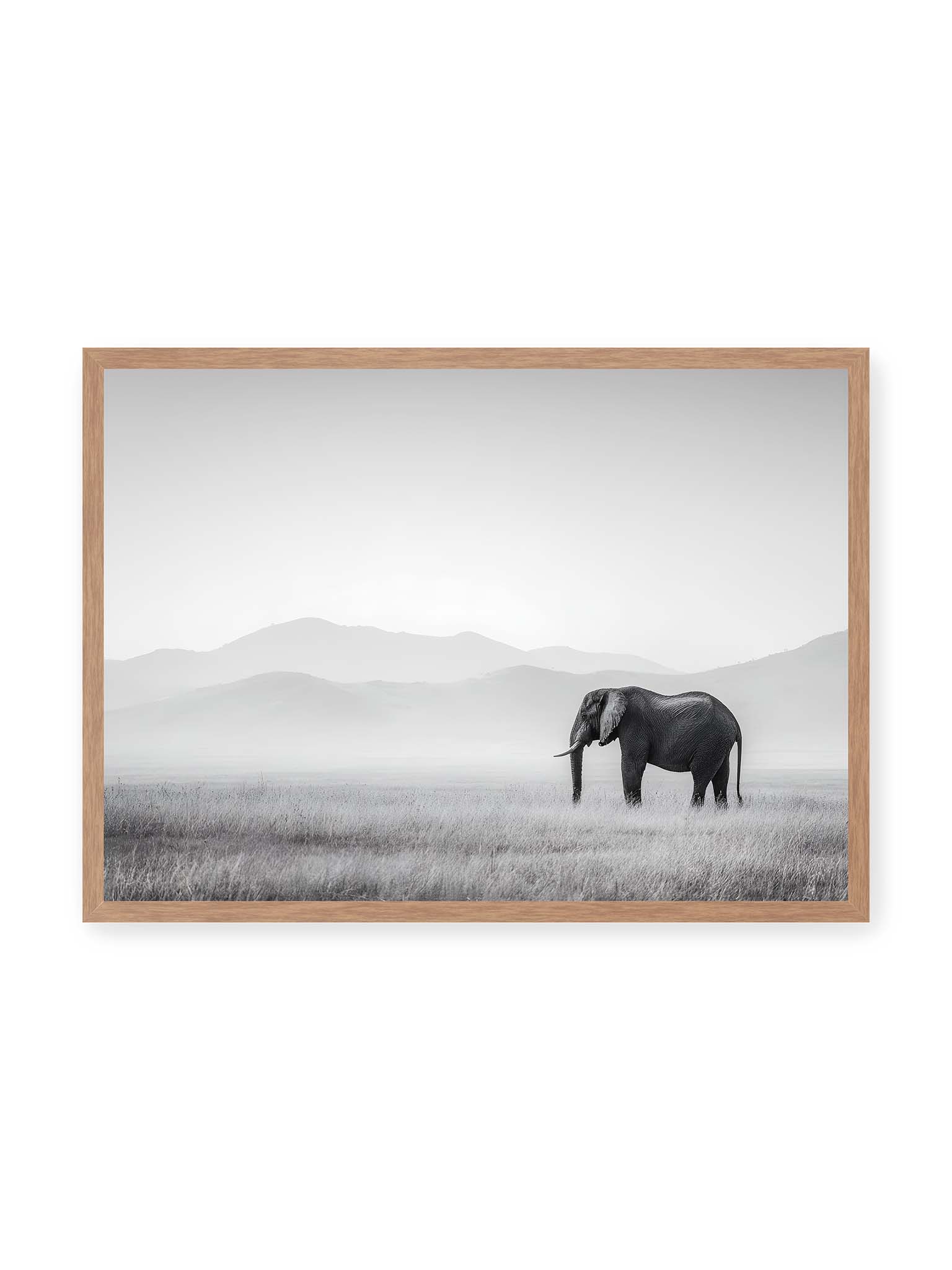 50x70 cm, Eichenrahmen – Elefant steht in weiter, nebeliger Landschaft mit sanften Hügeln im Hintergrund in monochromer Darstellung.