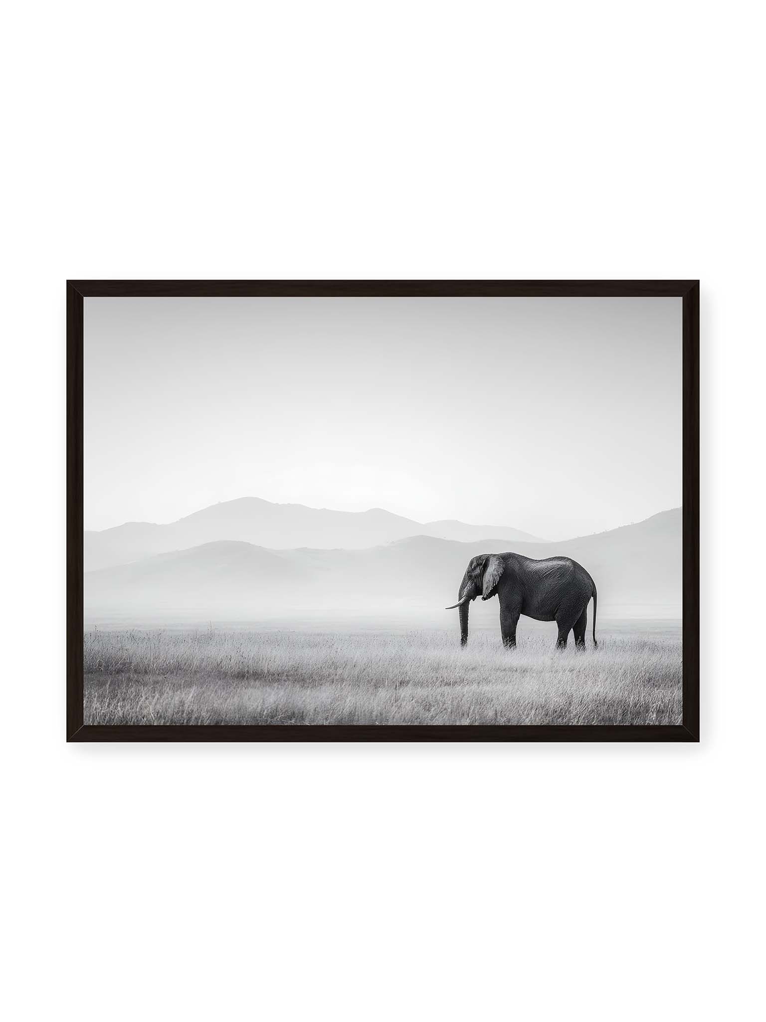 50x70 cm, schwarzer Rahmen – Elefant steht in weiter, nebeliger Landschaft mit sanften Hügeln im Hintergrund in monochromer Darstellung.