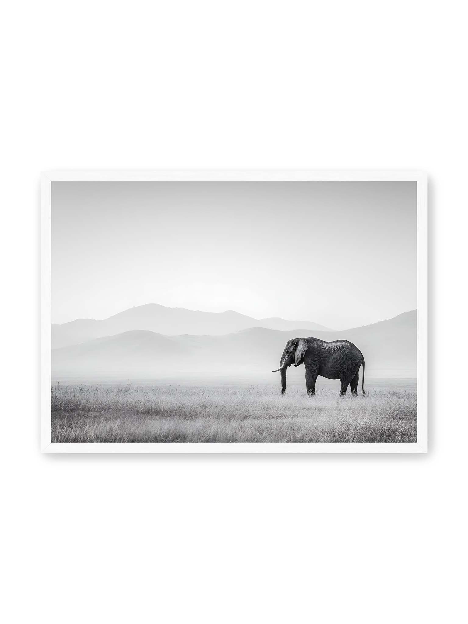 50x70 cm, weißer Rahmen – Elefant steht in weiter, nebeliger Landschaft mit sanften Hügeln im Hintergrund in monochromer Darstellung.