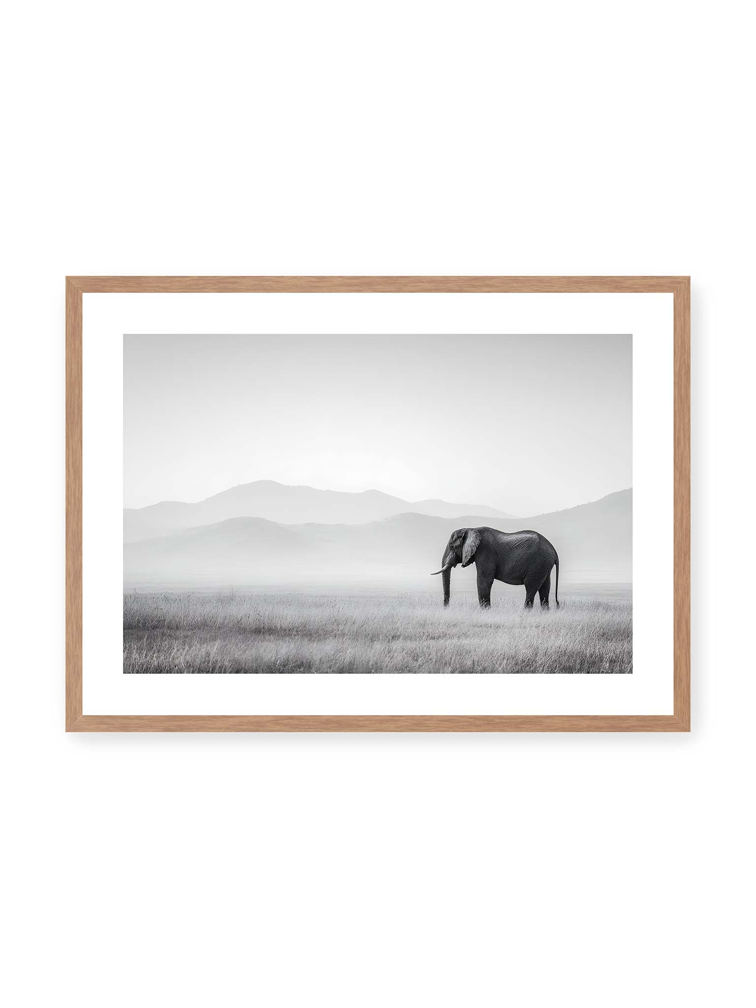 50x70 cm, weißer Galerie-Rand, Eichenrahmen – Elefant steht in weiter, nebeliger Landschaft mit sanften Hügeln im Hintergrund in monochromer Darstellung.