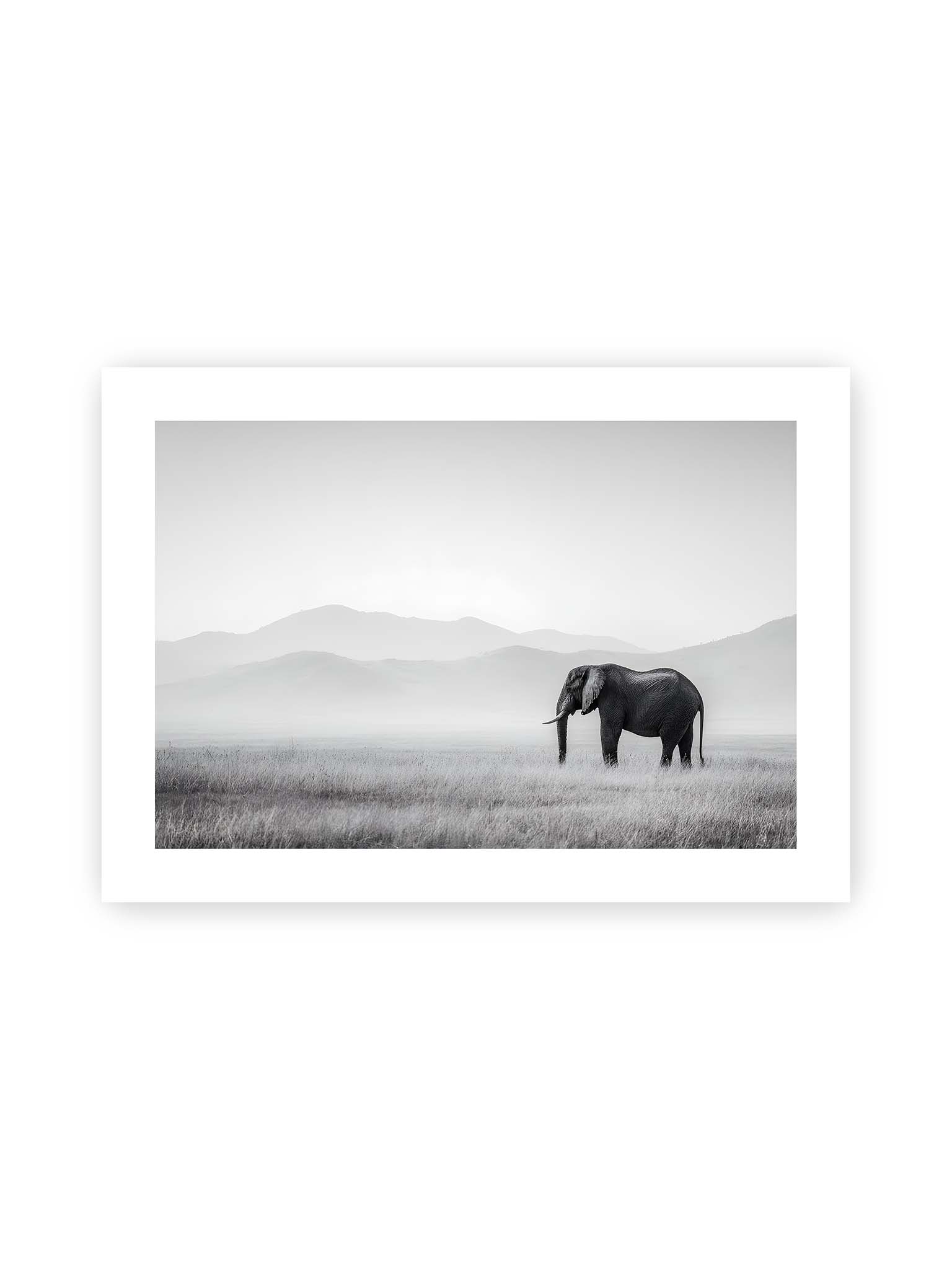 50x70 cm, weißer Galerie-Rand – Elefant steht in weiter, nebeliger Landschaft mit sanften Hügeln im Hintergrund in monochromer Darstellung.
