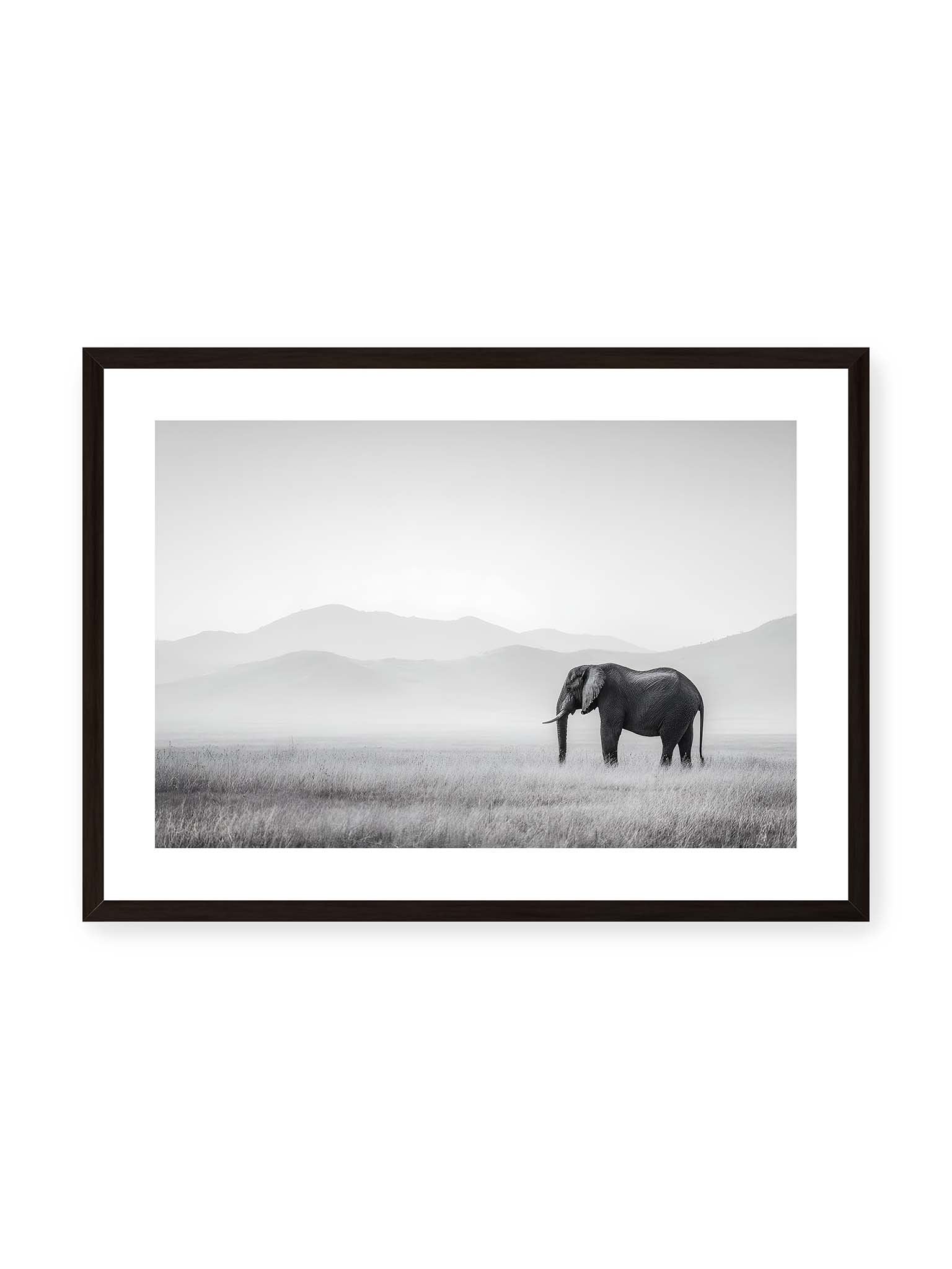 50x70 cm, weißer Galerie-Rand, schwarzer Rahmen – Elefant steht in weiter, nebeliger Landschaft mit sanften Hügeln im Hintergrund in monochromer Darstellung.