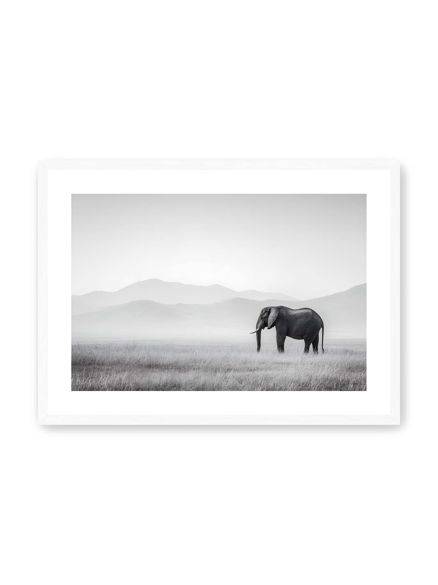 50x70 cm, weißer Galerie-Rand, weißer Rahmen – Elefant steht in weiter, nebeliger Landschaft mit sanften Hügeln im Hintergrund in monochromer Darstellung.