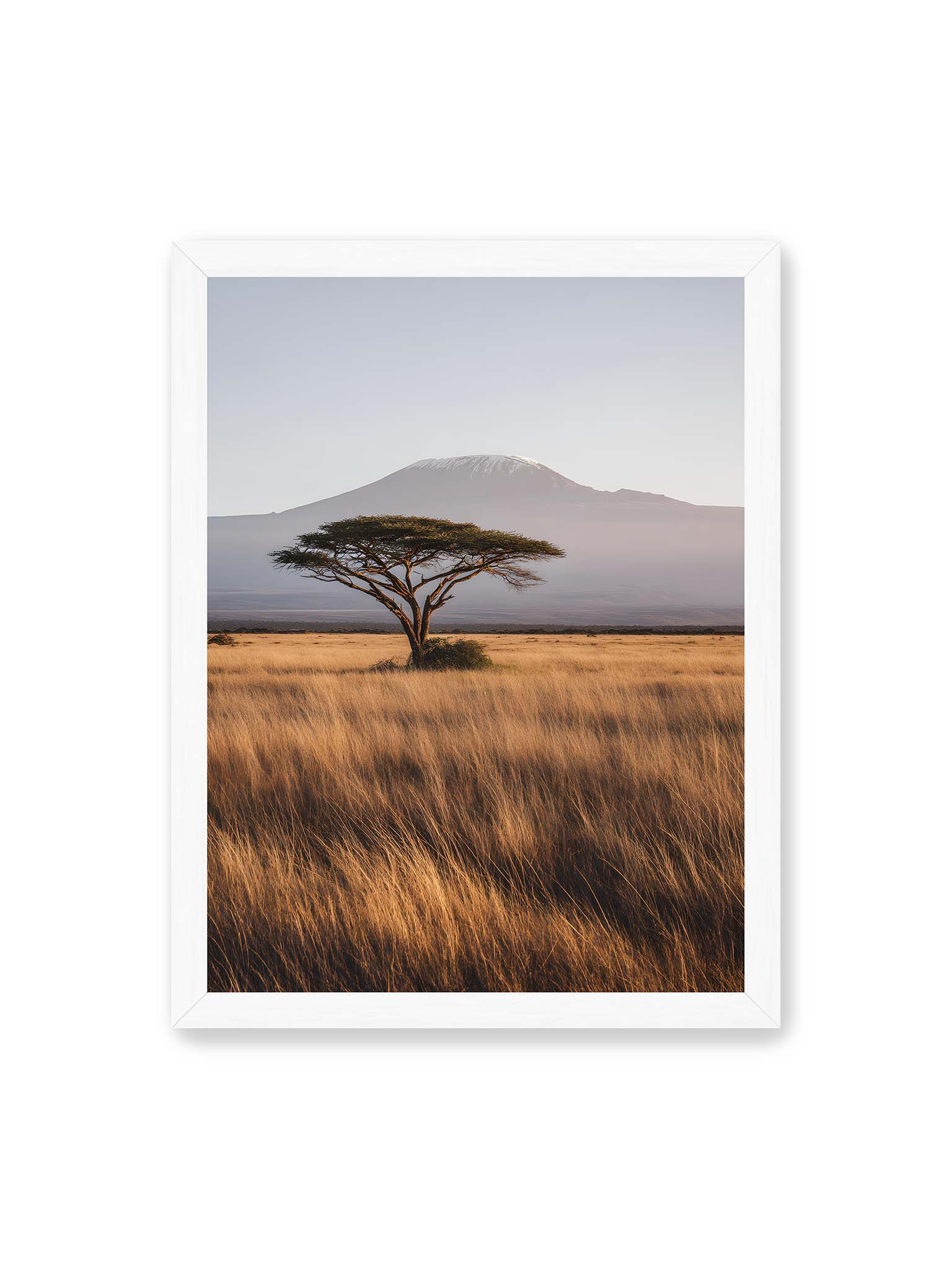 30x40 cm, weißer Rahmen – Einzelne Akazie in weiter Savanne mit Kilimandscharo im Hintergrund und goldenem Gras im weichen Licht.