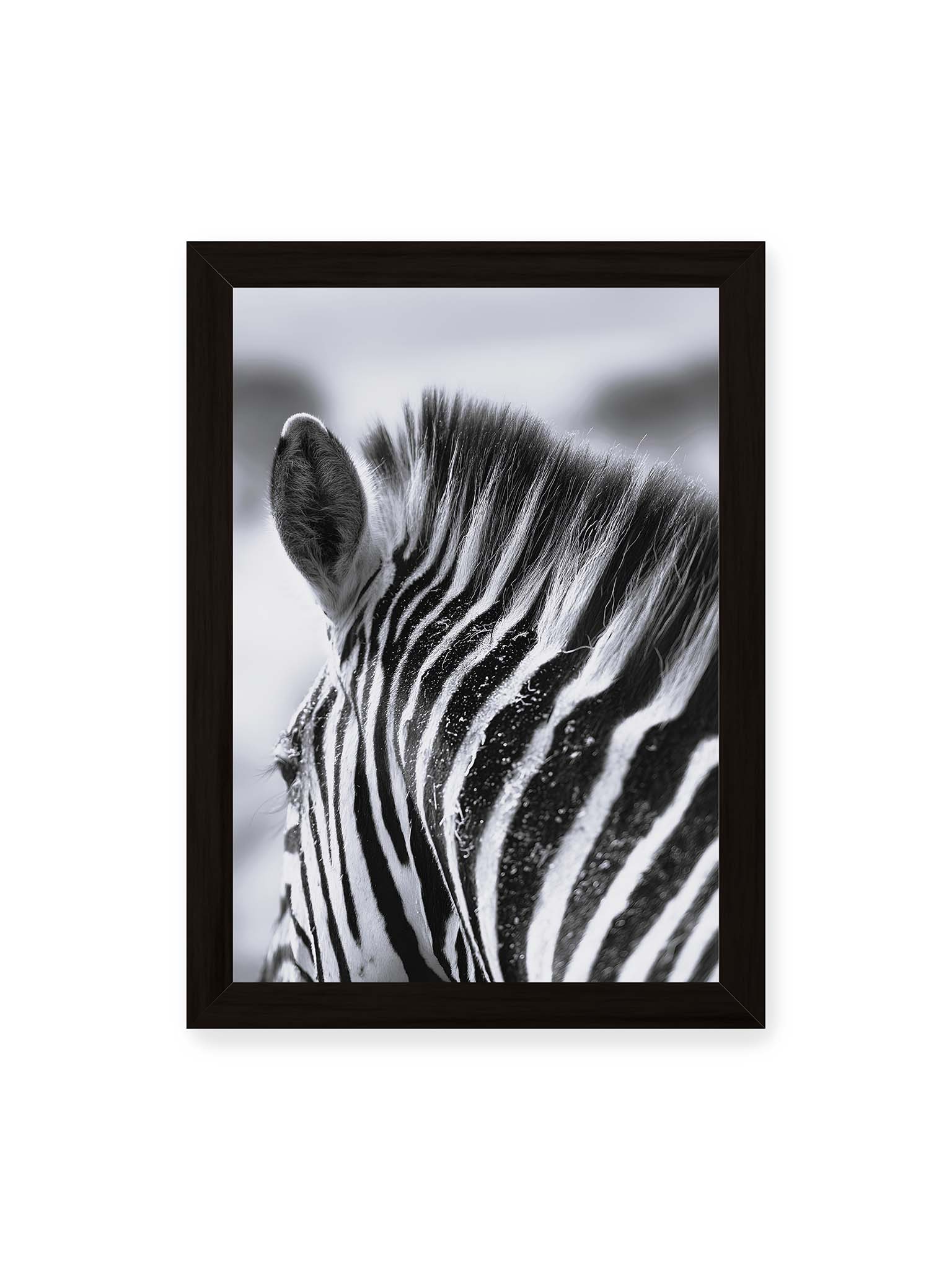 21x30 cm, schwarzer Rahmen – Nahaufnahme eines Zebras mit kontrastreichen schwarzen und weißen Streifen und sichtbarer Mähne im Detail.
