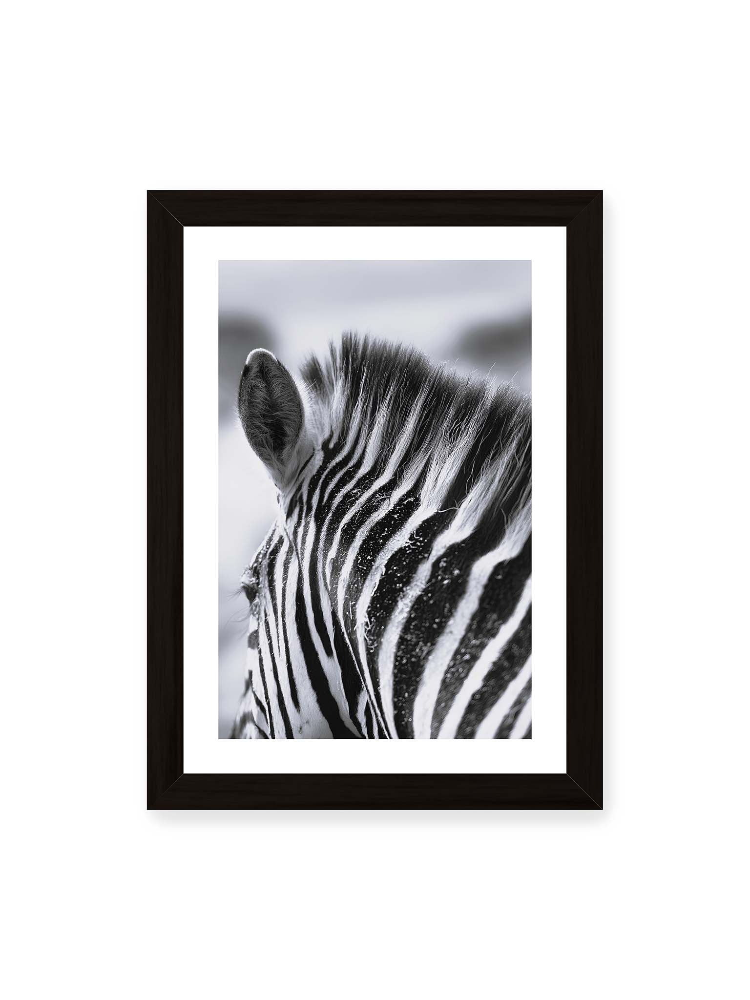 21x30 cm, weißer Galerie-Rand, schwarzer Rahmen – Nahaufnahme eines Zebras mit kontrastreichen schwarzen und weißen Streifen und sichtbarer Mähne im Detail.