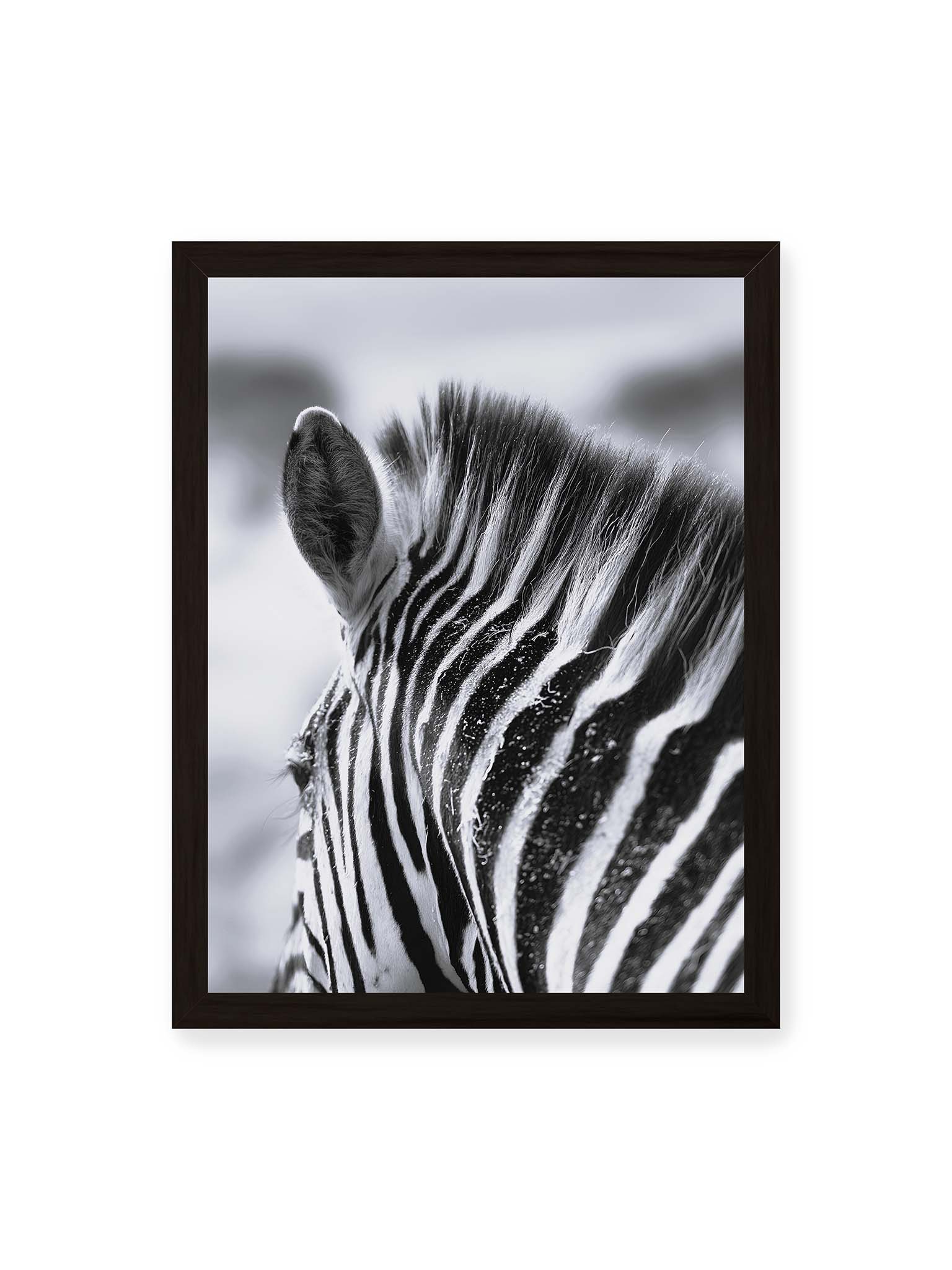 30x40 cm, schwarzer Rahmen – Nahaufnahme eines Zebras mit kontrastreichen schwarzen und weißen Streifen und sichtbarer Mähne im Detail.