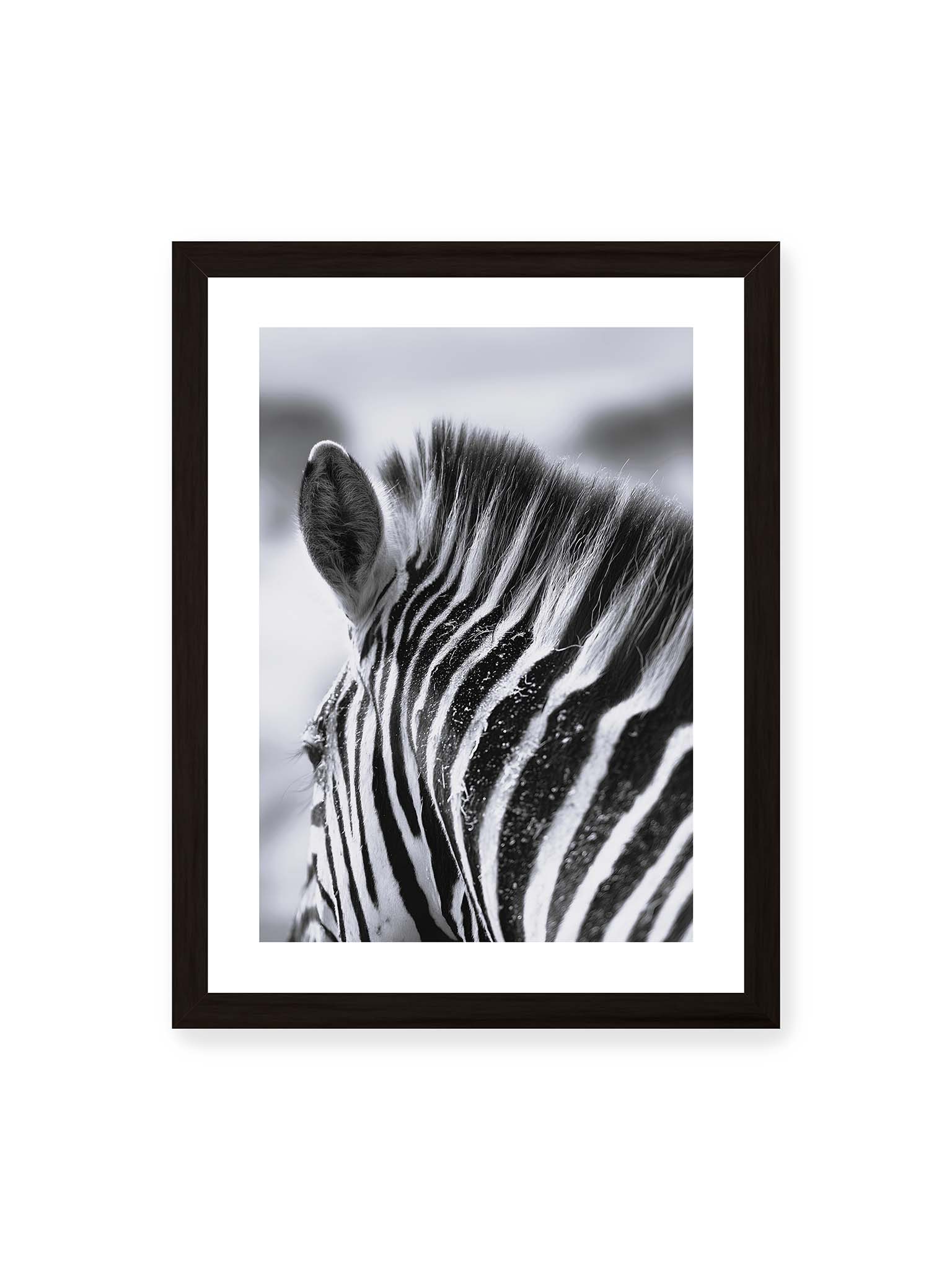 30x40 cm, weißer Galerie-Rand, schwarzer Rahmen – Nahaufnahme eines Zebras mit kontrastreichen schwarzen und weißen Streifen und sichtbarer Mähne im Detail.