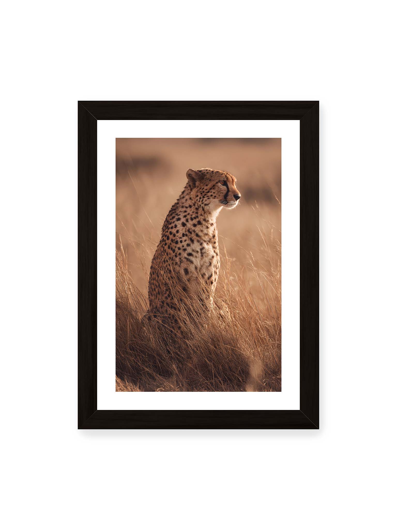 21x30 cm, weißer Galerie-Rand, schwarzer Rahmen – Gepard sitzt im hohen goldenen Gras der Savanne und blickt aufmerksam in die Ferne im warmen Licht.