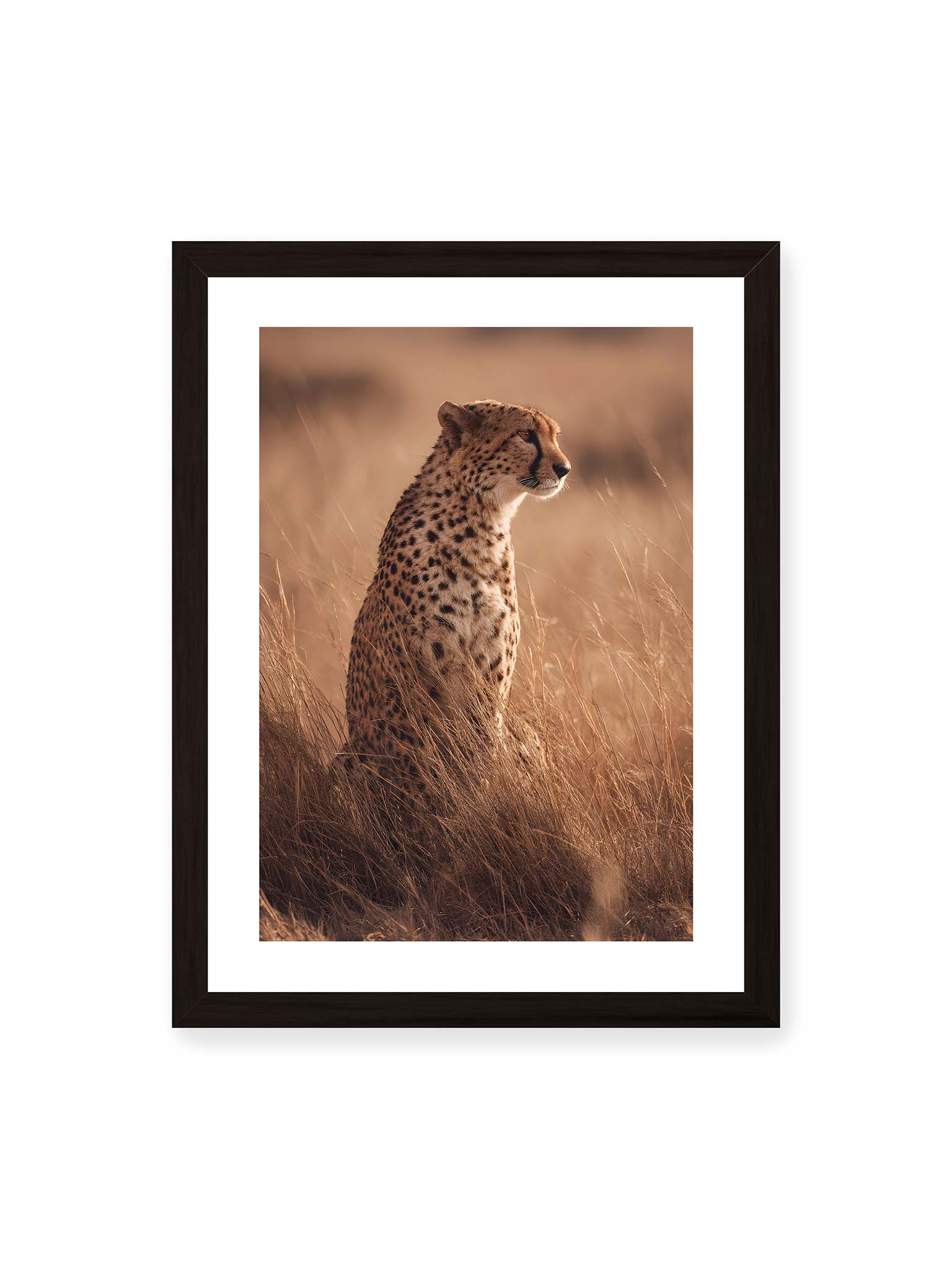 30x40 cm, weißer Galerie-Rand, schwarzer Rahmen – Gepard sitzt im hohen goldenen Gras der Savanne und blickt aufmerksam in die Ferne im warmen Licht.