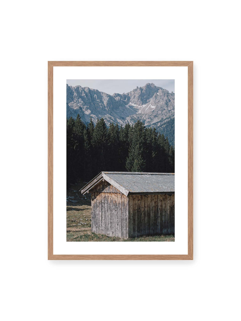Alpine Timberline