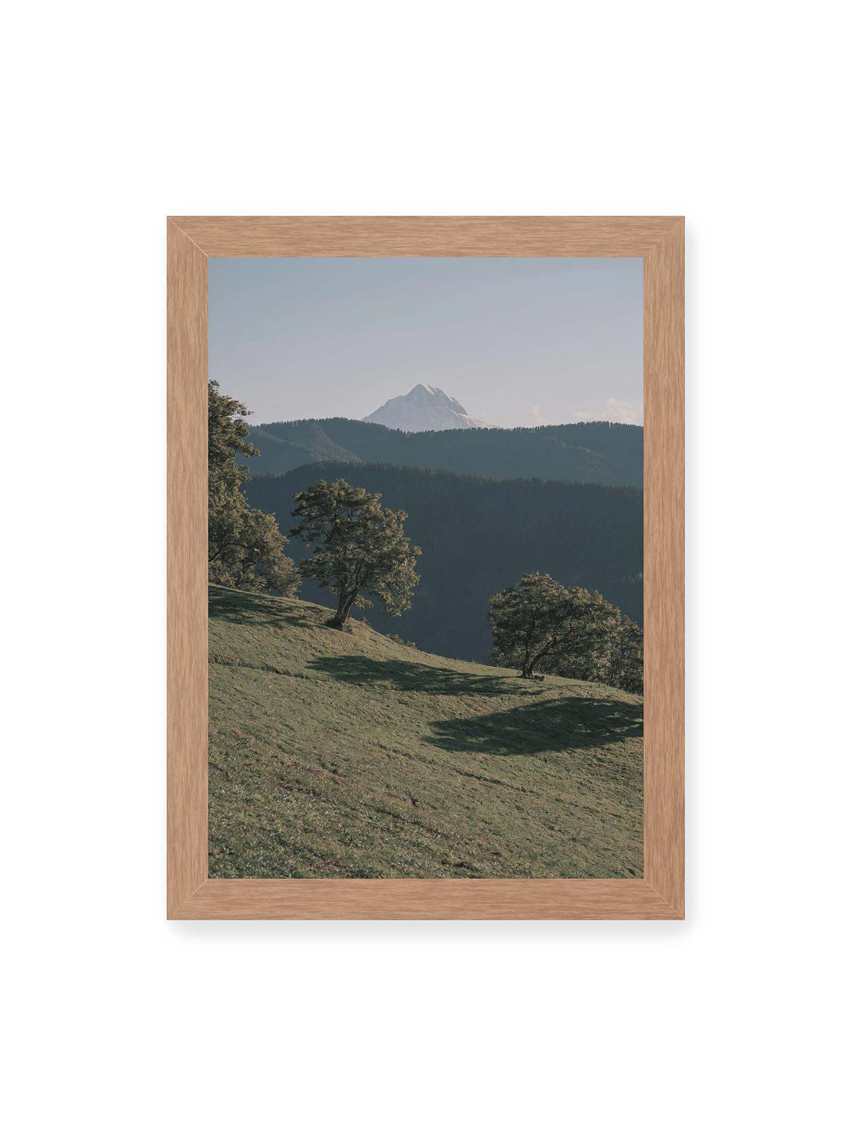 21x30 cm, Eichenrahmen – Ferner heller Berggipfel über dunklen Höhenzügen und einer geneigten grünen Wiese mit einzelnen Bäumen.