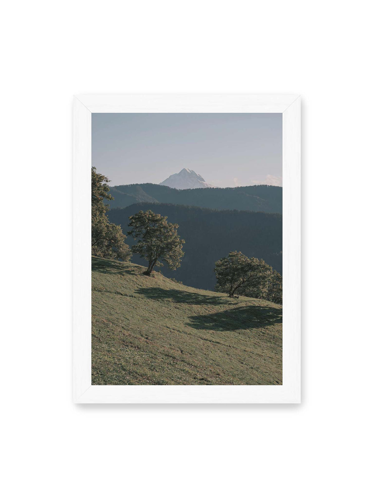 21x30 cm, weißer Rahmen – Ferner heller Berggipfel über dunklen Höhenzügen und einer geneigten grünen Wiese mit einzelnen Bäumen.