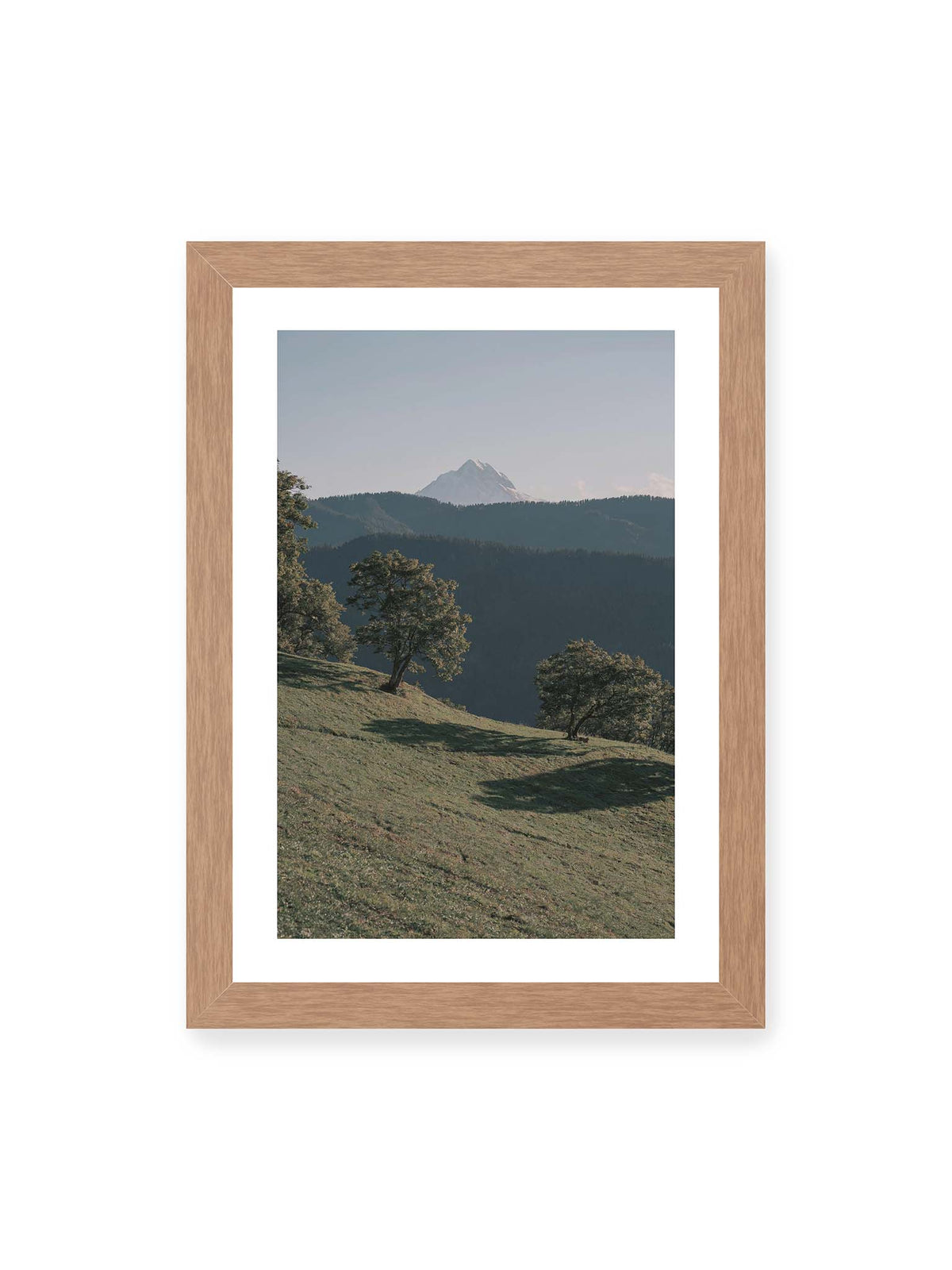 21x30 cm, weißer Galerie-Rand, Eichenrahmen – Ferner heller Berggipfel über dunklen Höhenzügen und einer geneigten grünen Wiese mit einzelnen Bäumen.