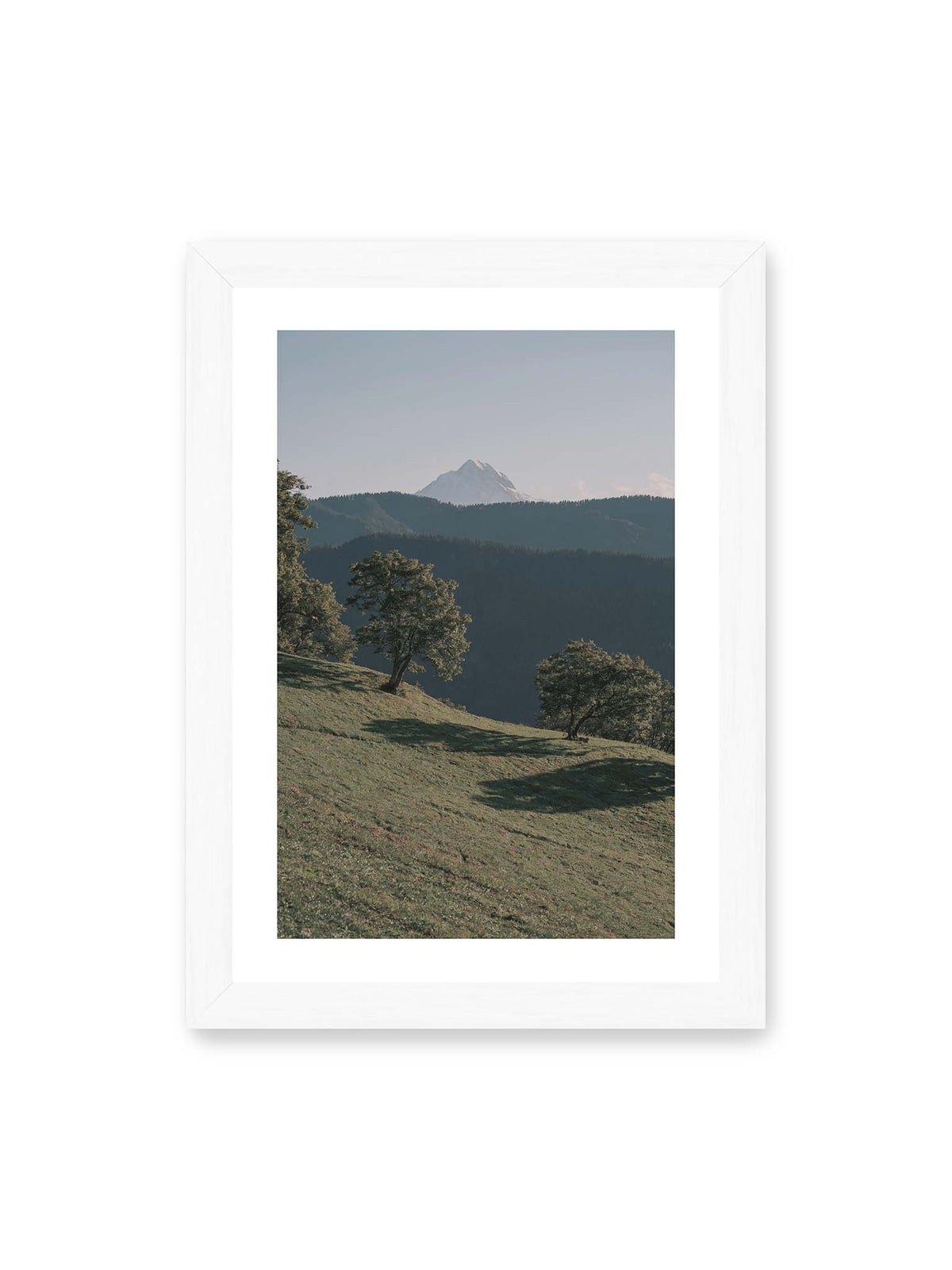 21x30 cm, weißer Galerie-Rand, weißer Rahmen – Ferner heller Berggipfel über dunklen Höhenzügen und einer geneigten grünen Wiese mit einzelnen Bäumen.