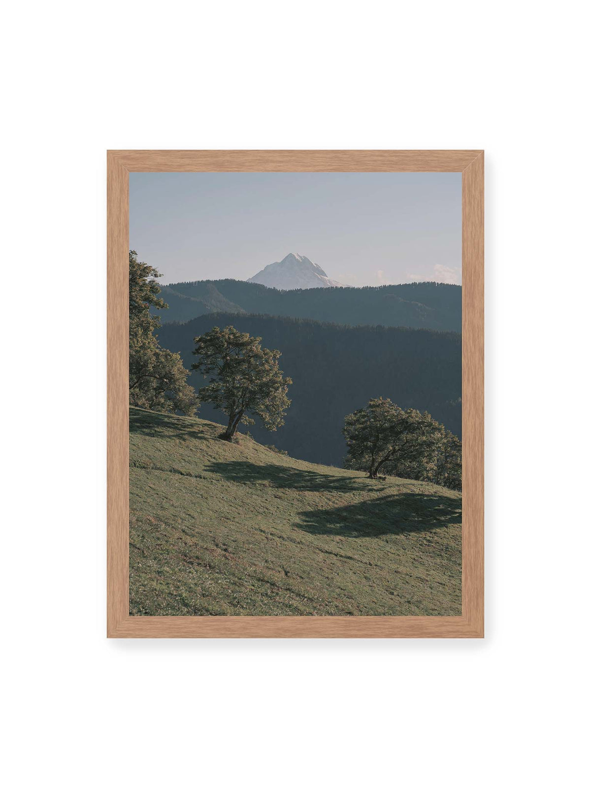 30x40 cm, Eichenrahmen – Ferner heller Berggipfel über dunklen Höhenzügen und einer geneigten grünen Wiese mit einzelnen Bäumen.