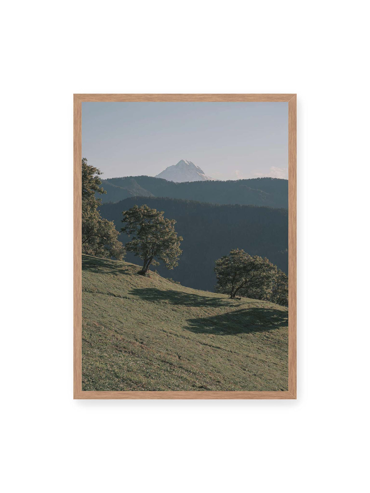 50x70 cm, Eichenrahmen – Ferner heller Berggipfel über dunklen Höhenzügen und einer geneigten grünen Wiese mit einzelnen Bäumen.