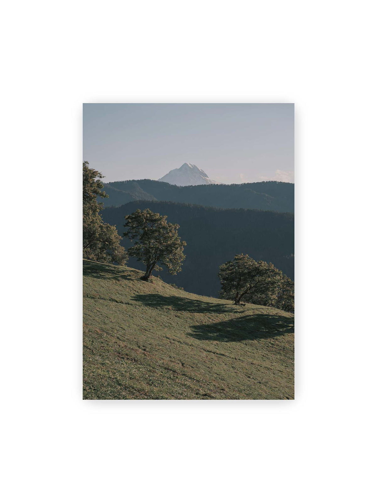 50x70 cm – Ferner heller Berggipfel über dunklen Höhenzügen und einer geneigten grünen Wiese mit einzelnen Bäumen.